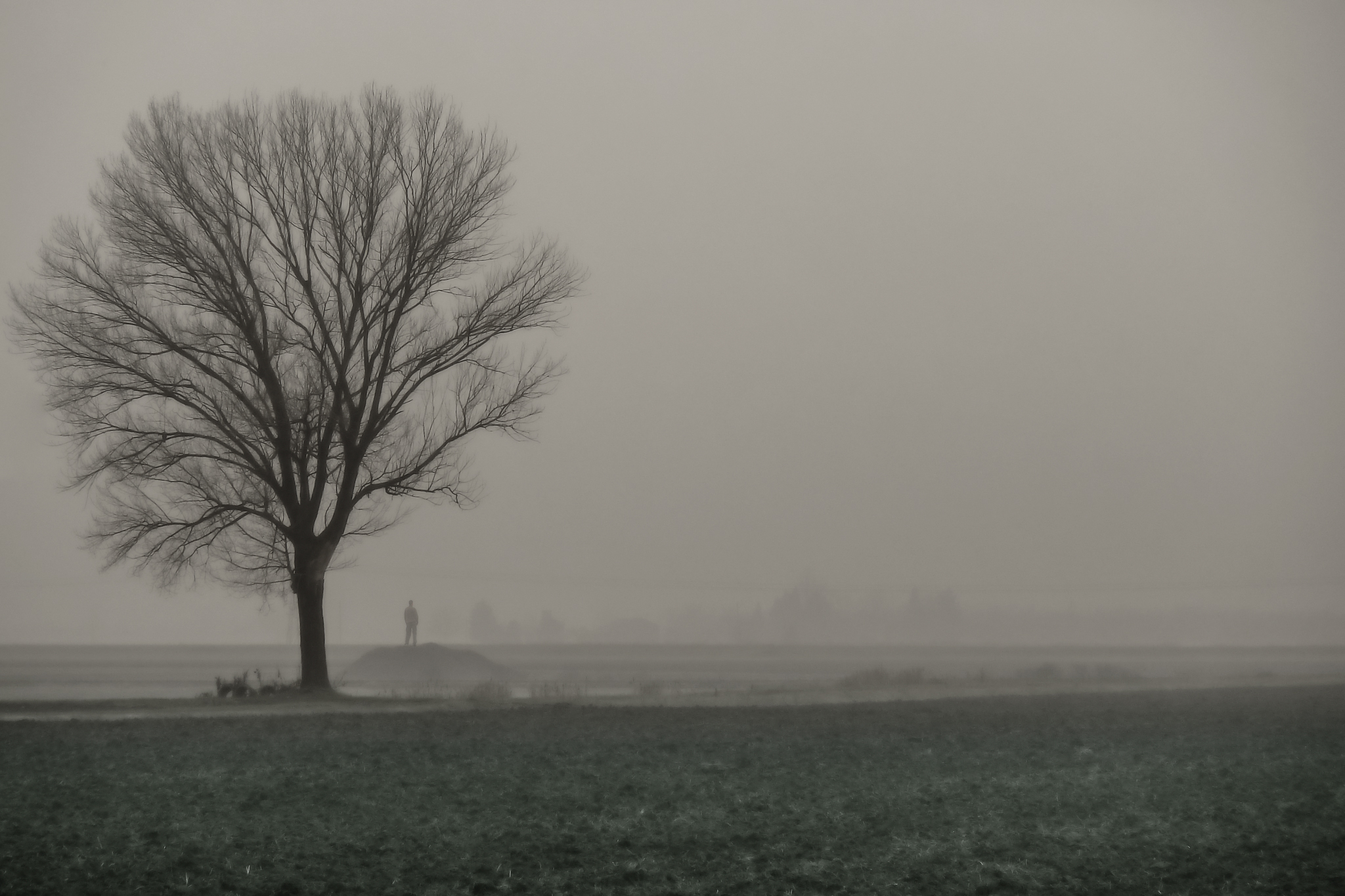 Small son ... Great mother