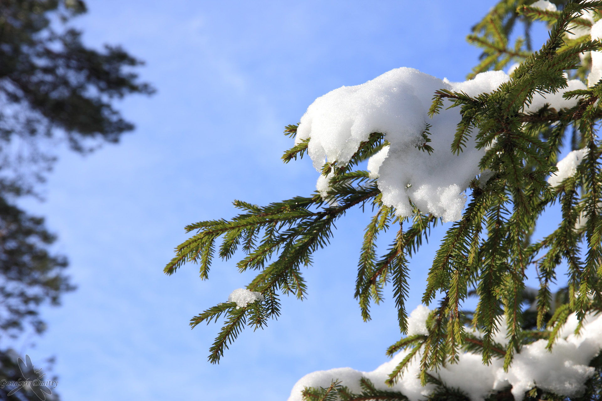 il sole splende sulla neve