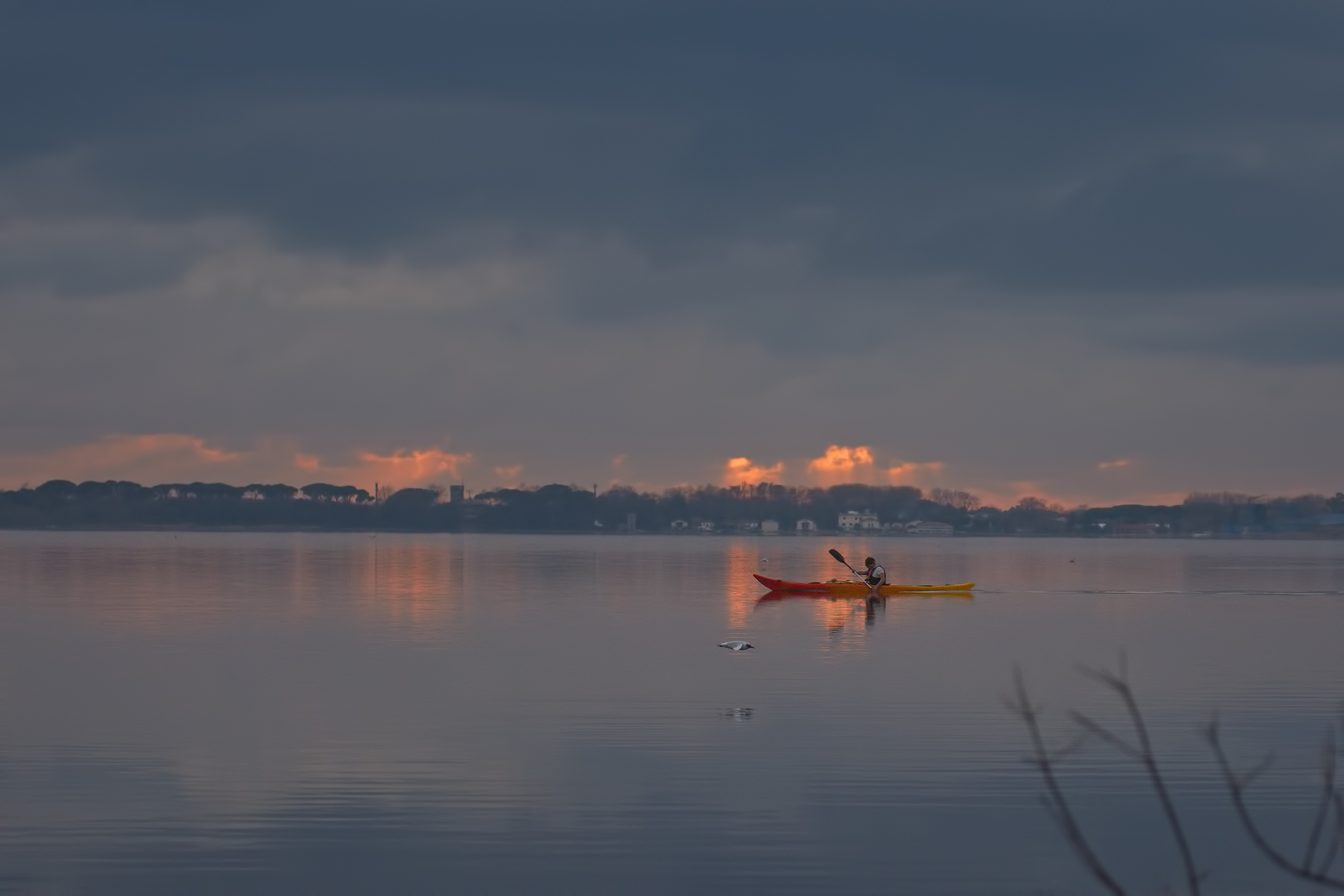 tramonto sul lago  (Massaciuccoli)