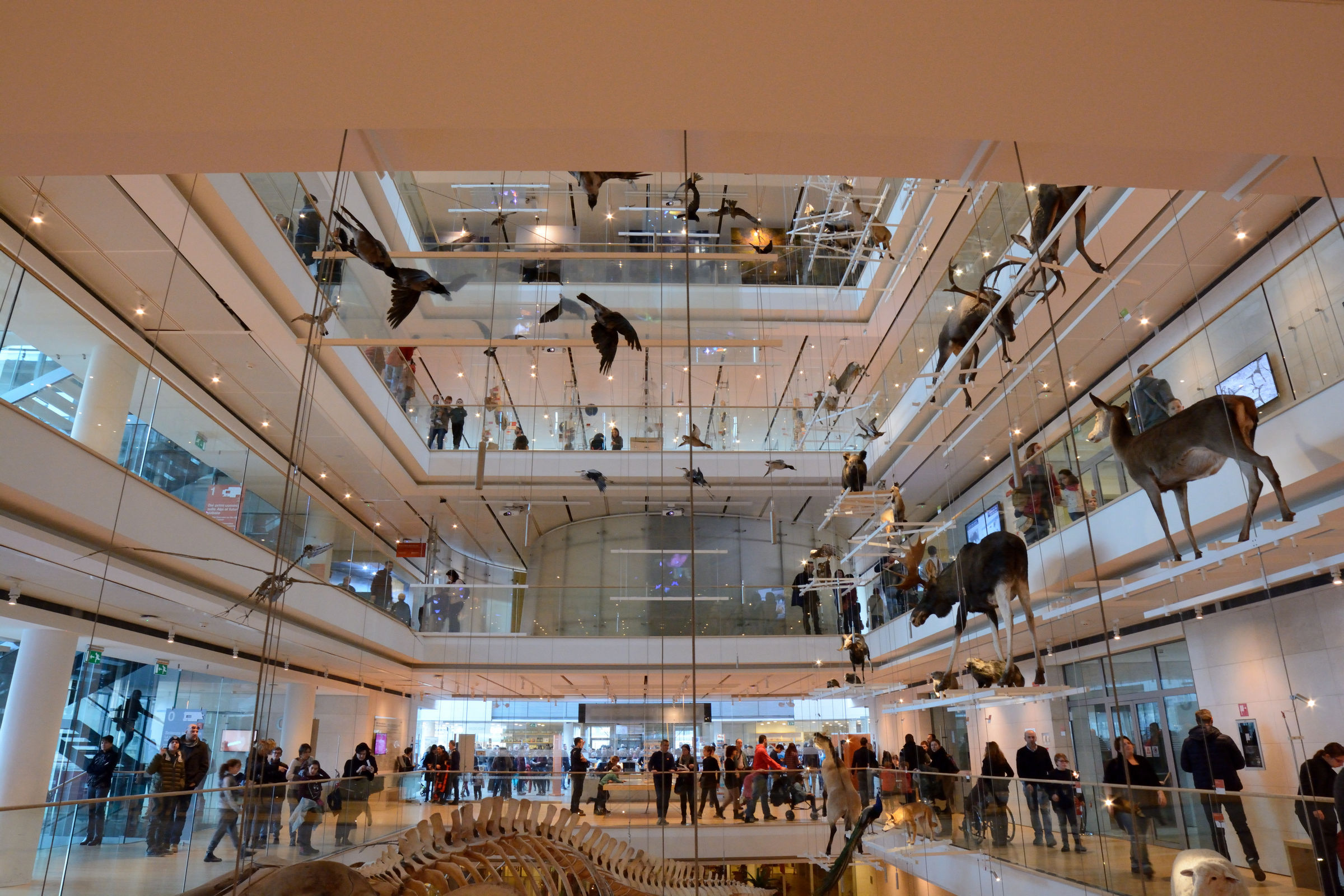Museum of Trento sciences