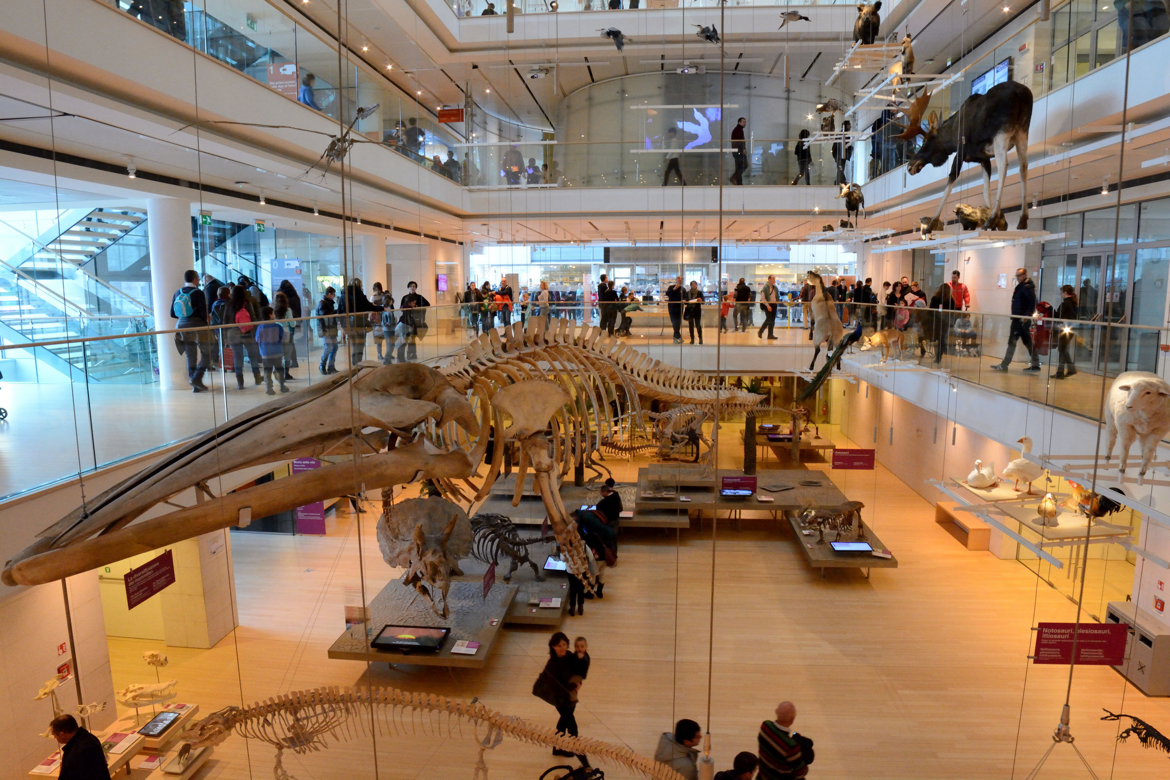 Museum of Trento sciences
