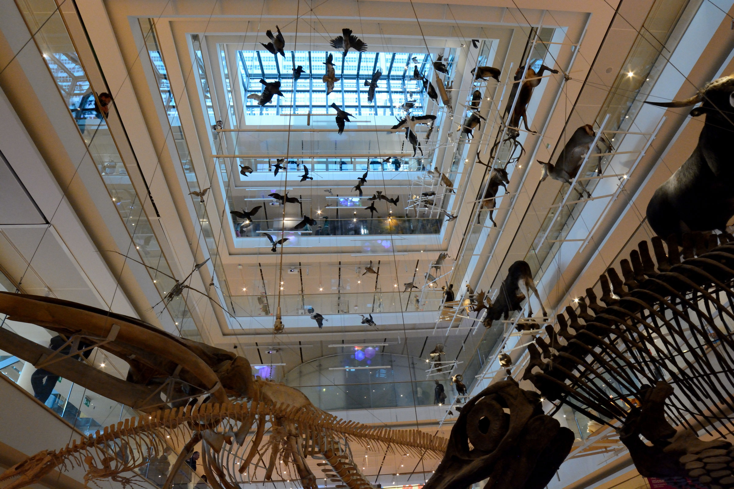 Museum of Trento sciences