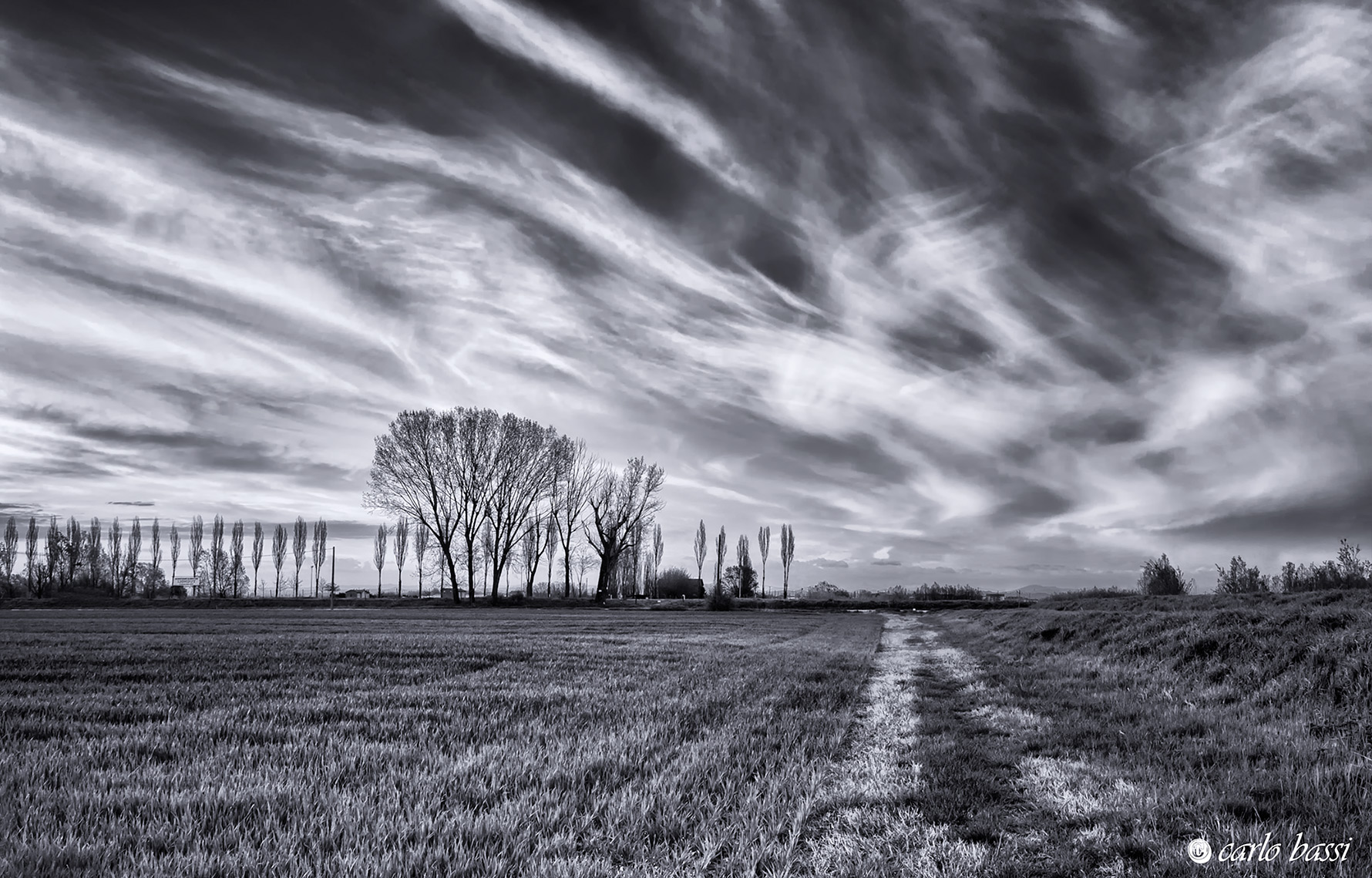 Geometries lowland 2