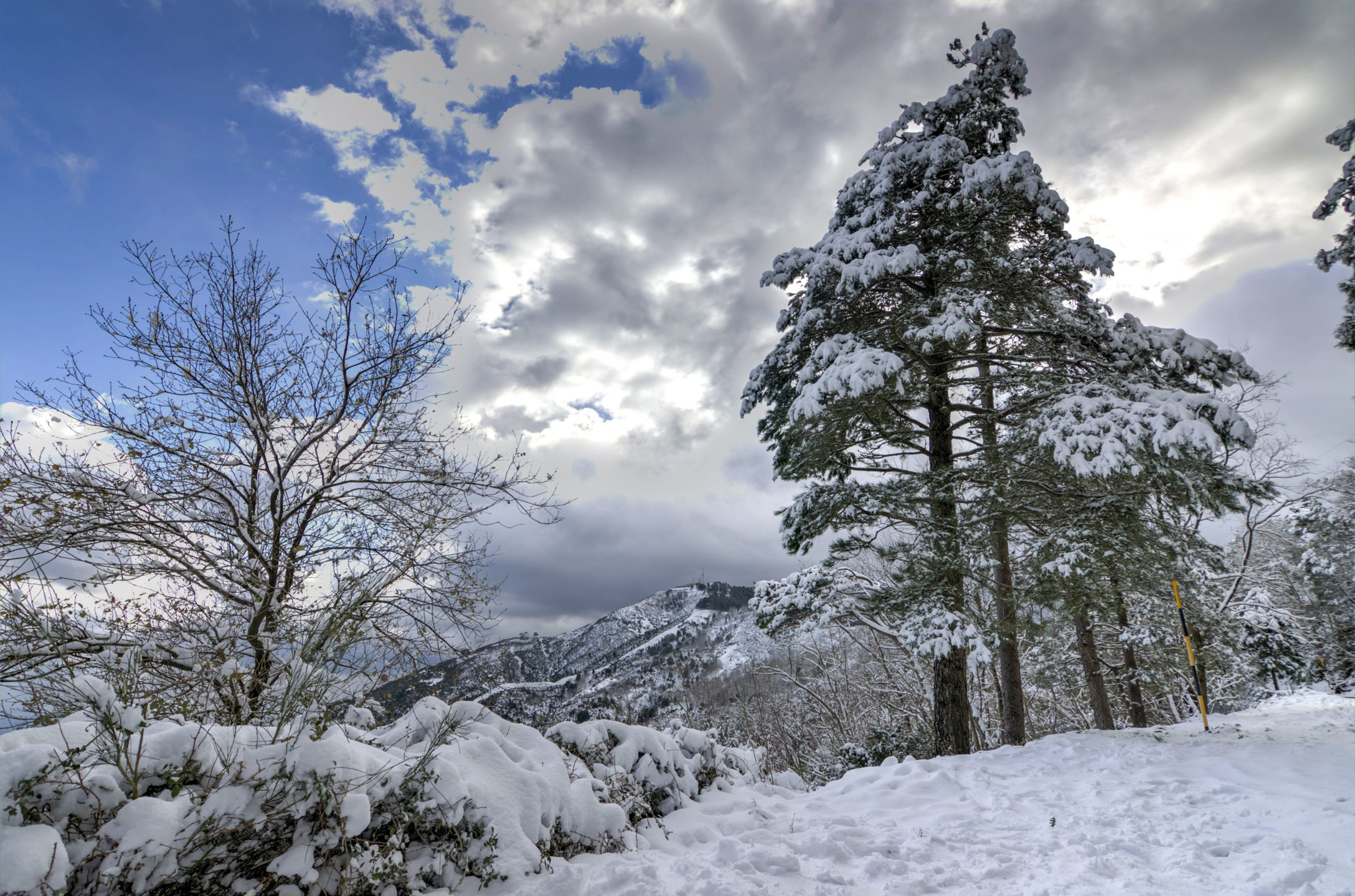 Peloritani - Snow