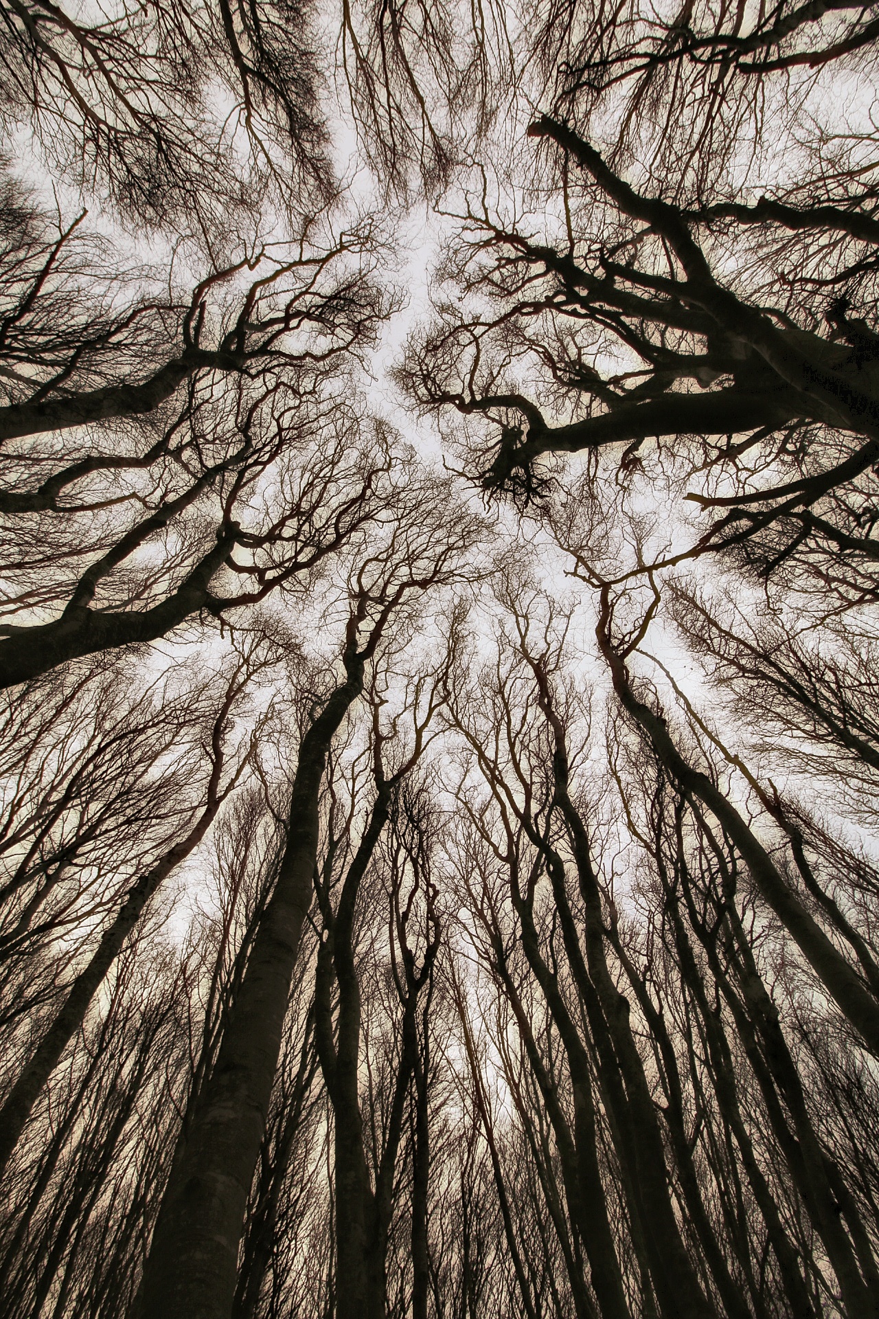 Sempre a Canfaito...