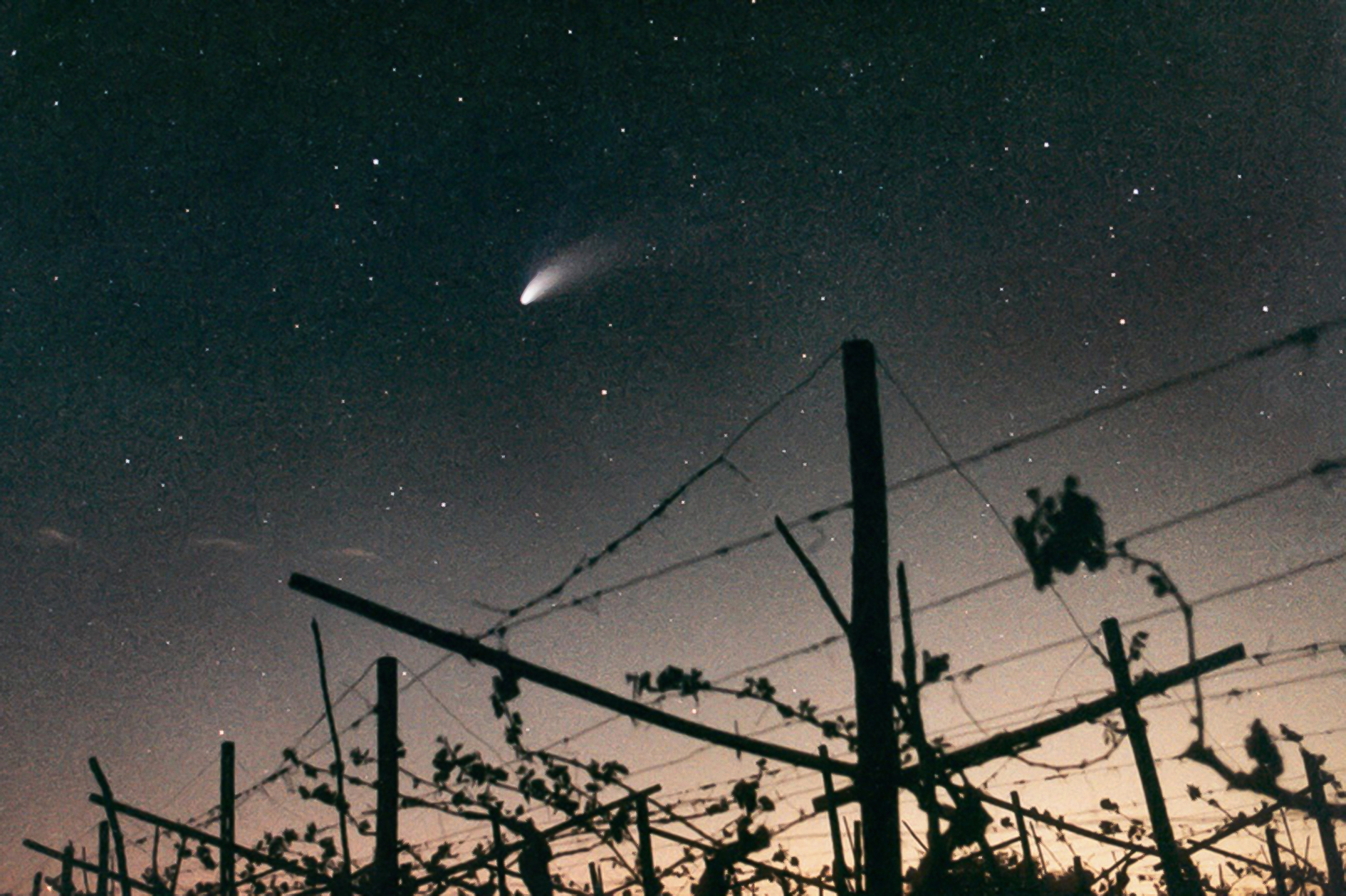 Cometa Hale Bopp 02 1997