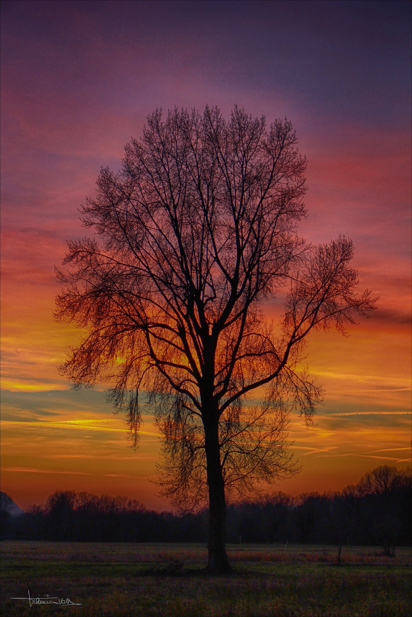 Under the burning sky.