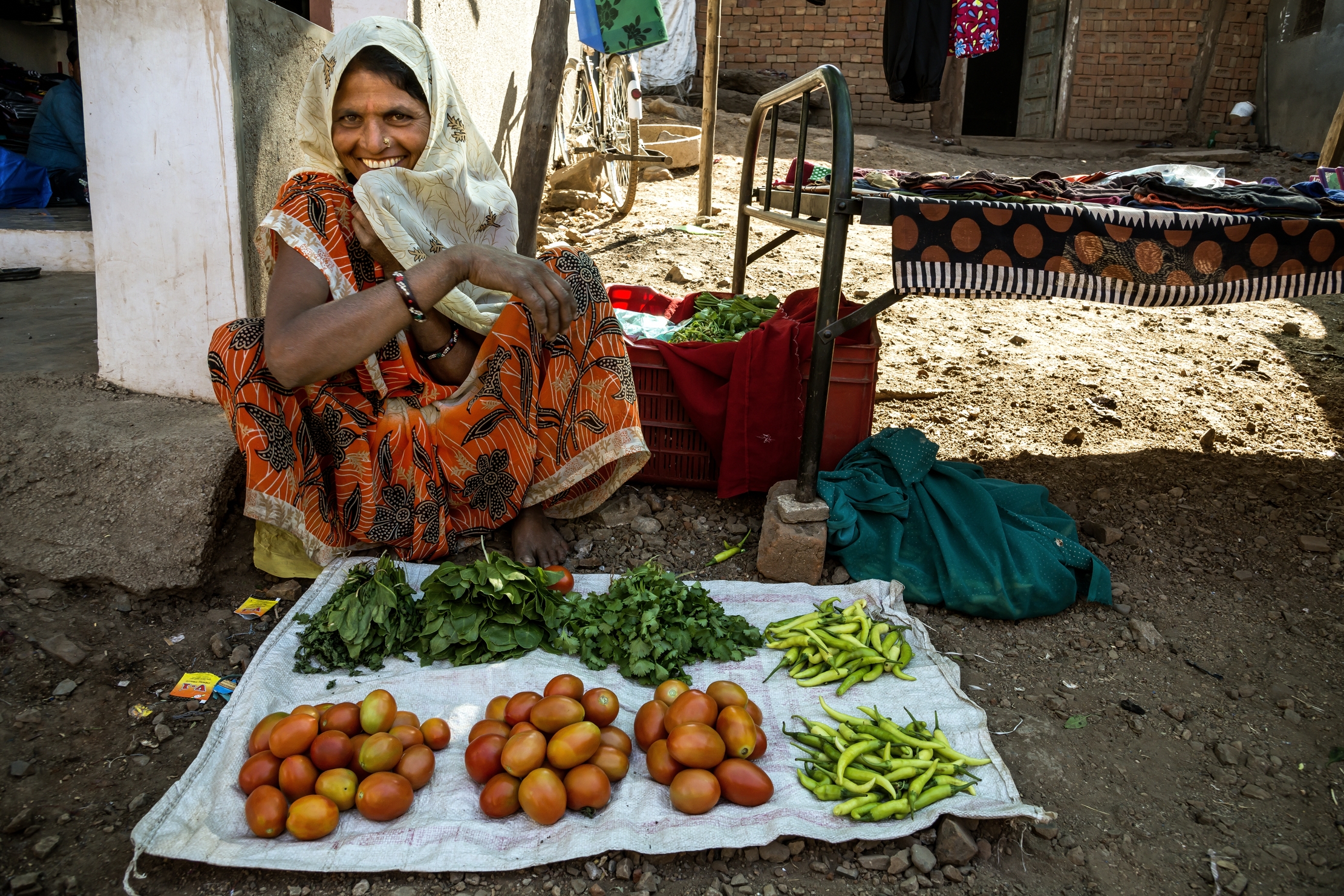 Gujarat 2015 - In un mercato