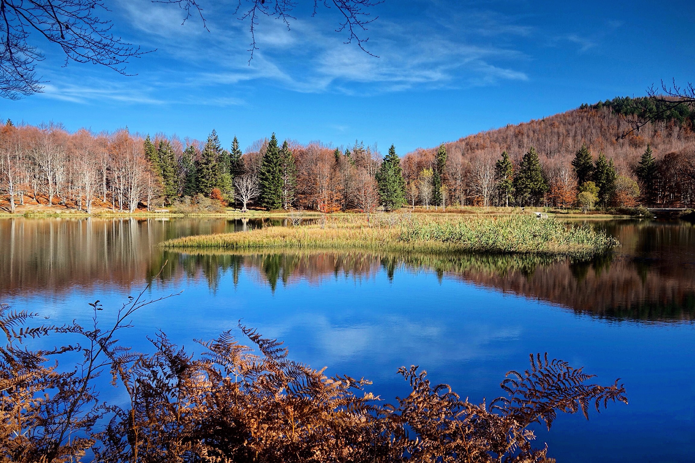 Lake in autumn
