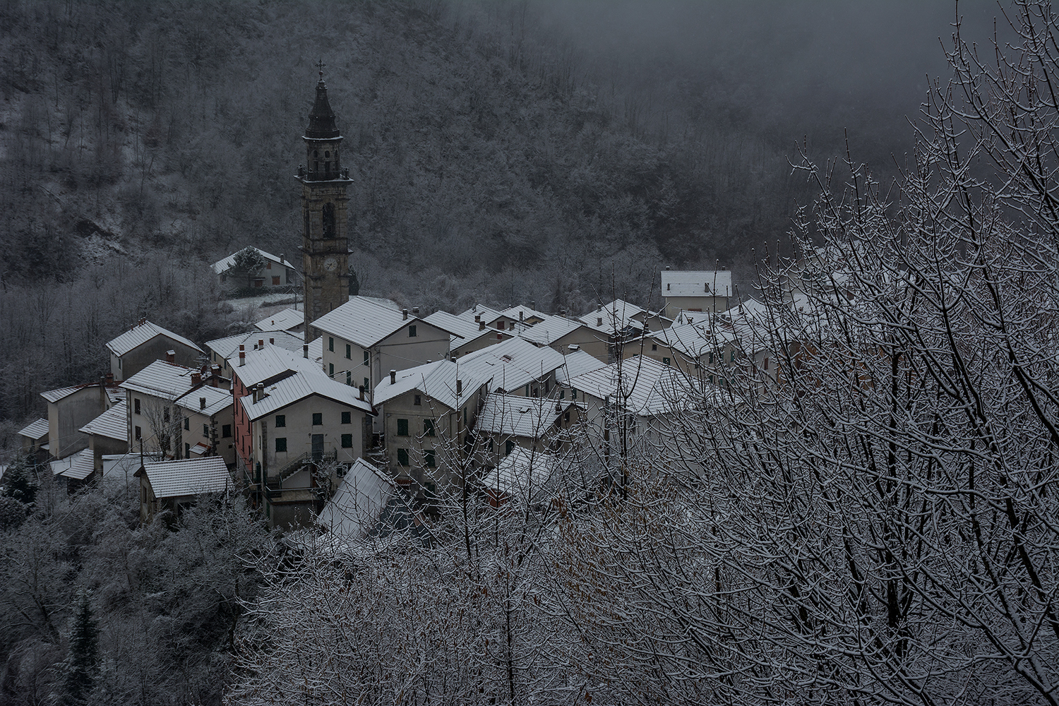 The soft embrace of the snow