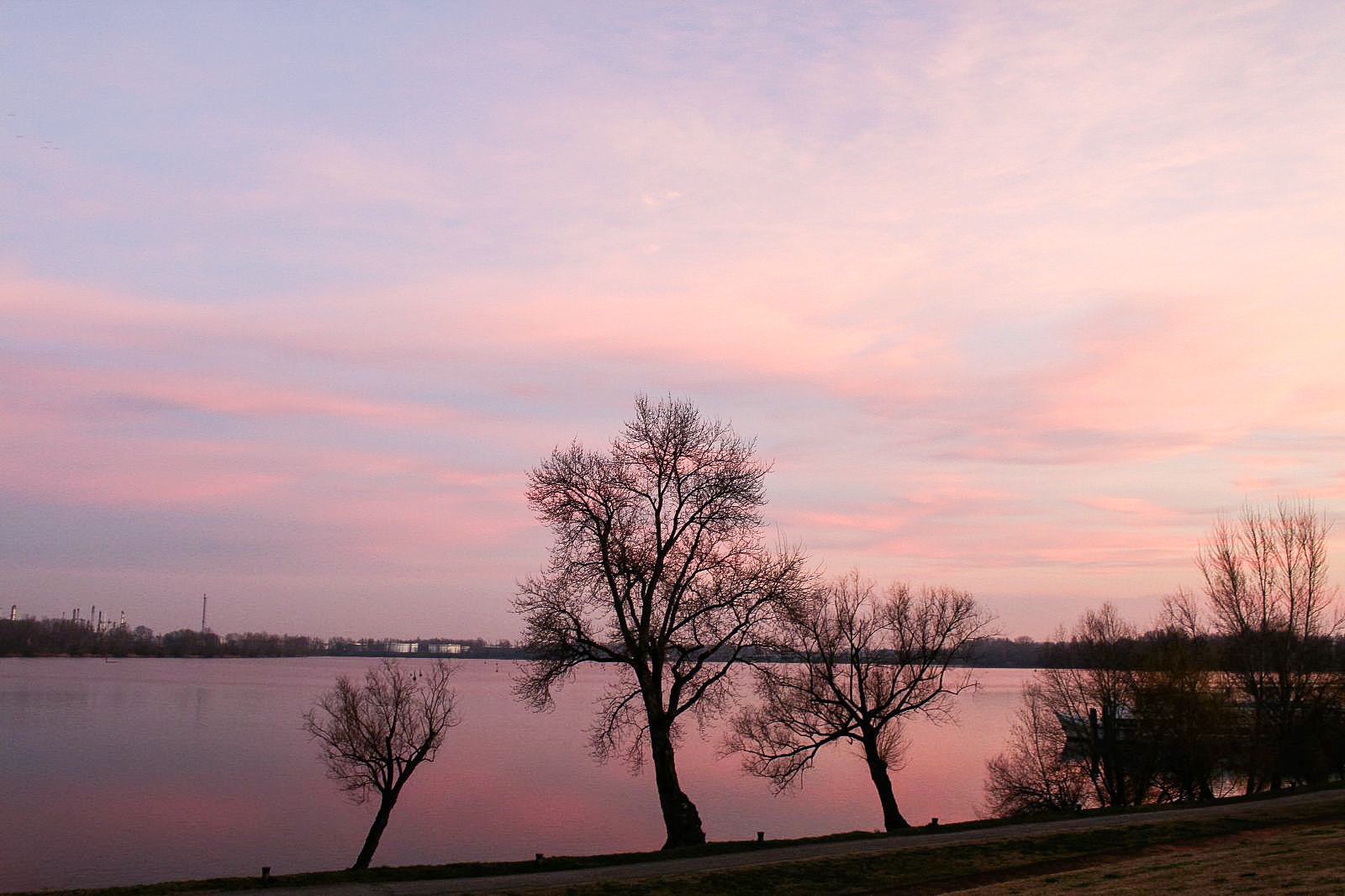 Reflections (lakes of Mantua)