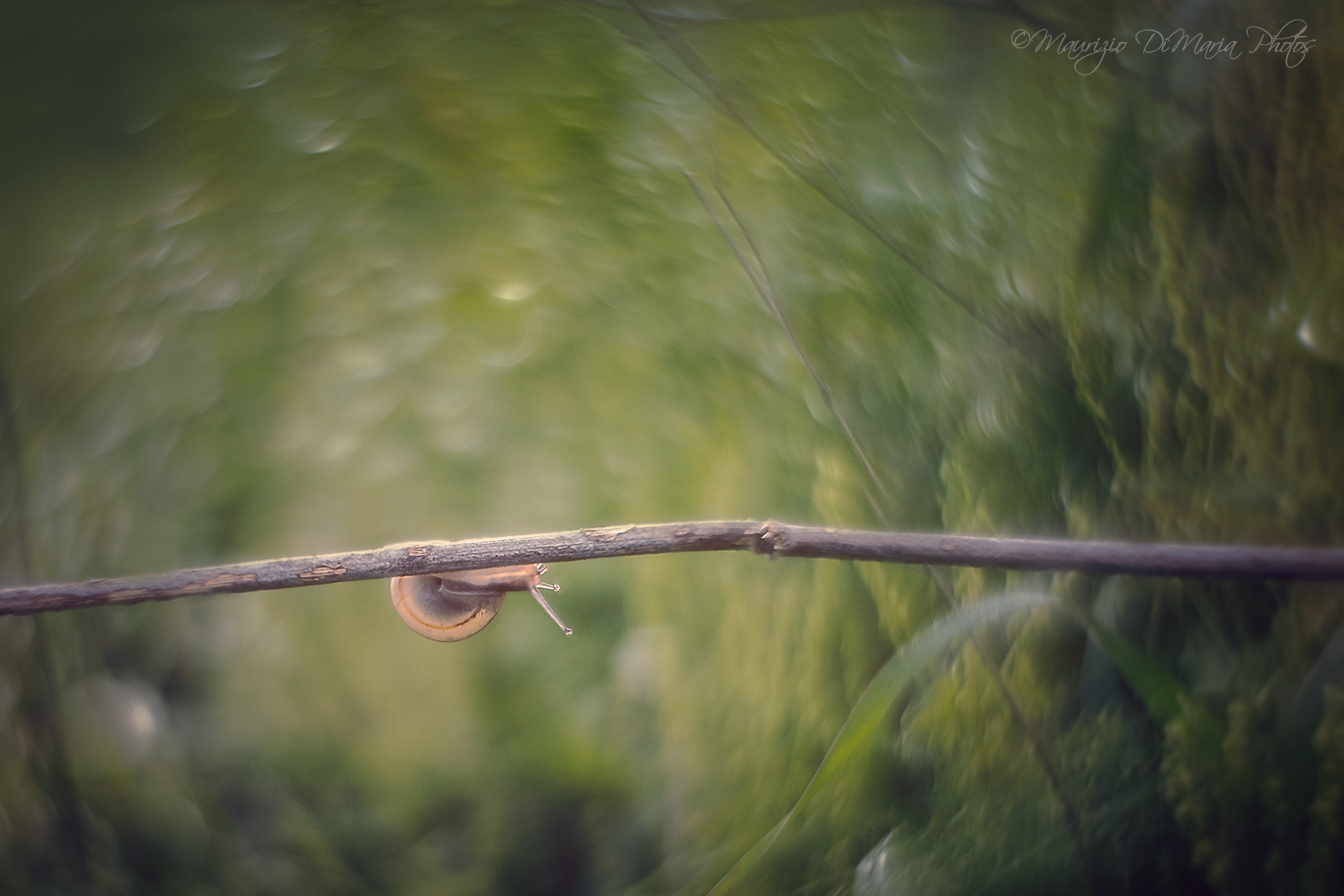 Towards a new world ....