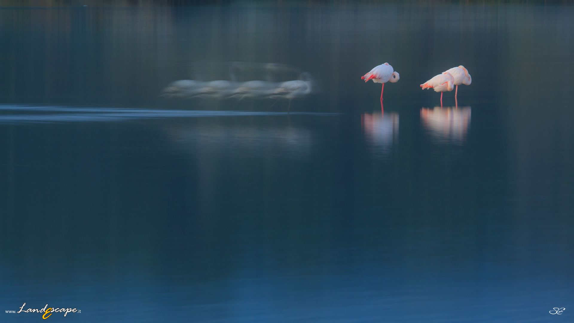 arrivo....arrivo....