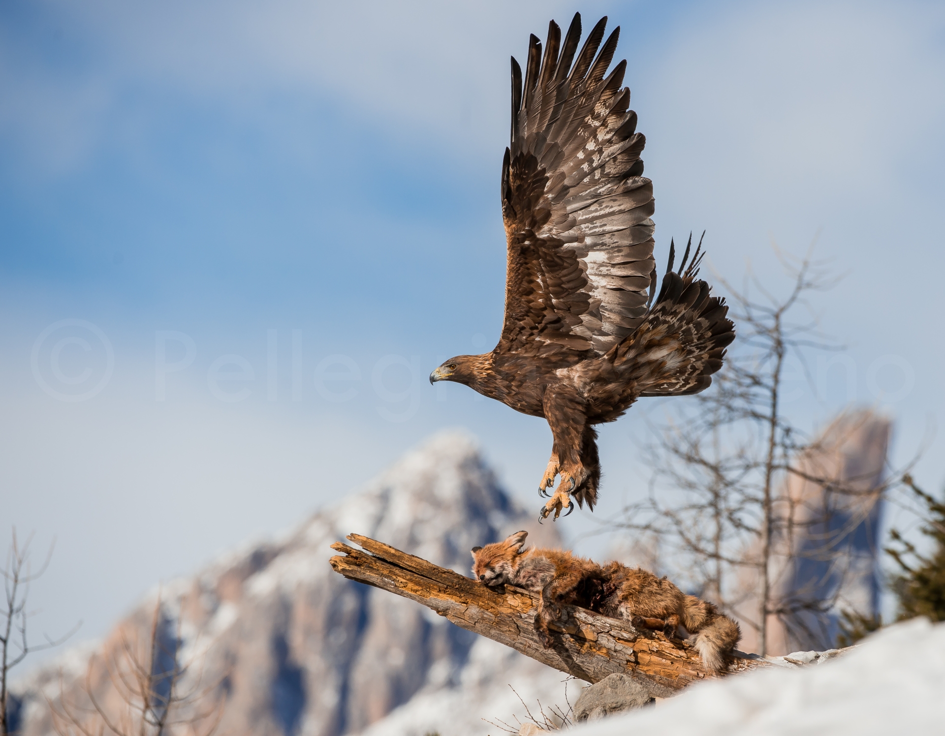 The Queen of the Dolomites