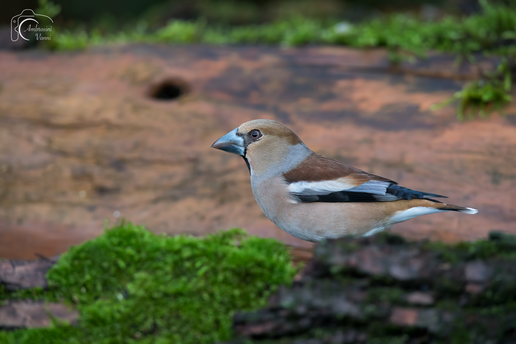 Sempre belli anche con il mal tempo