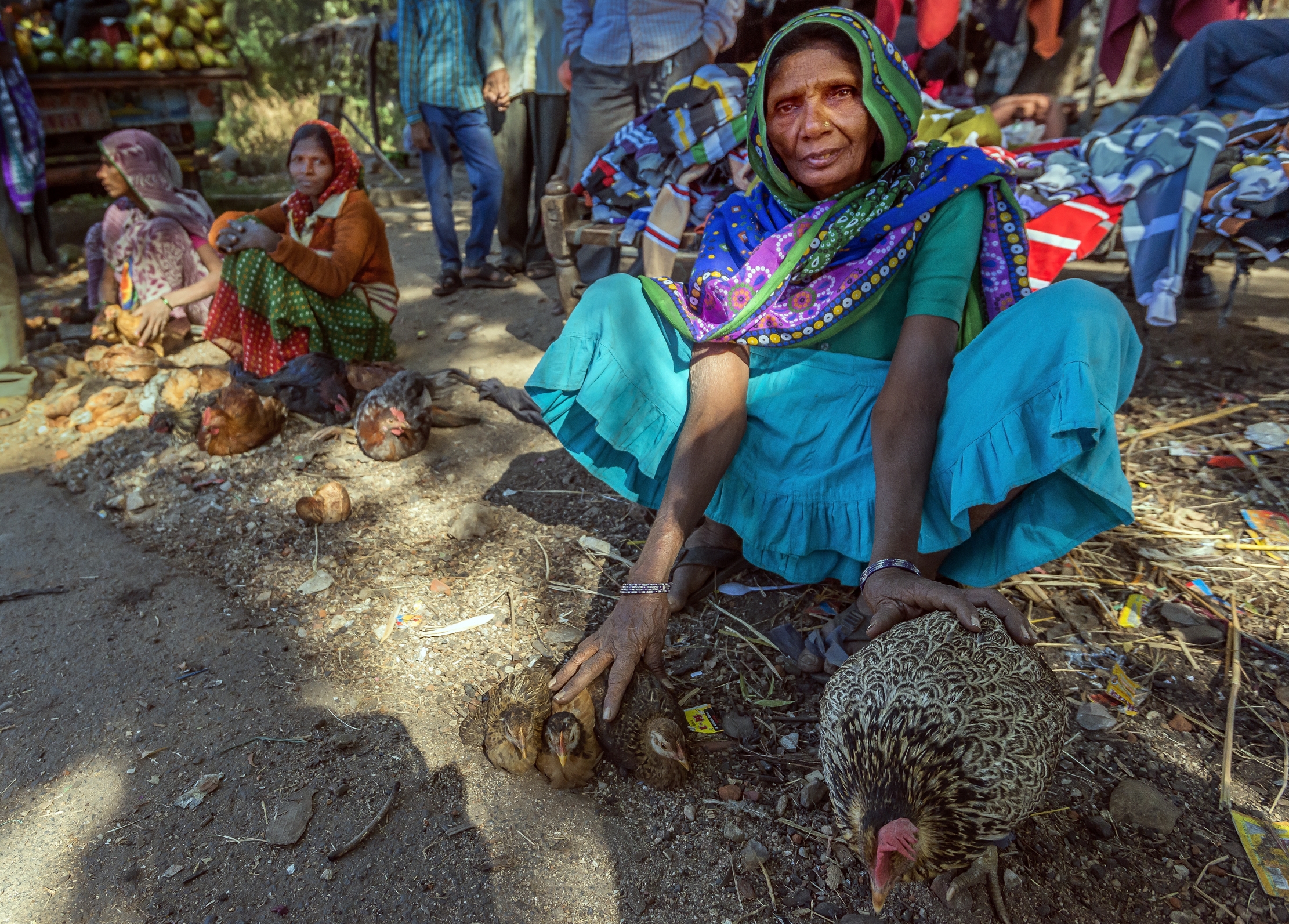 Gujarat 2015 - In un mercato