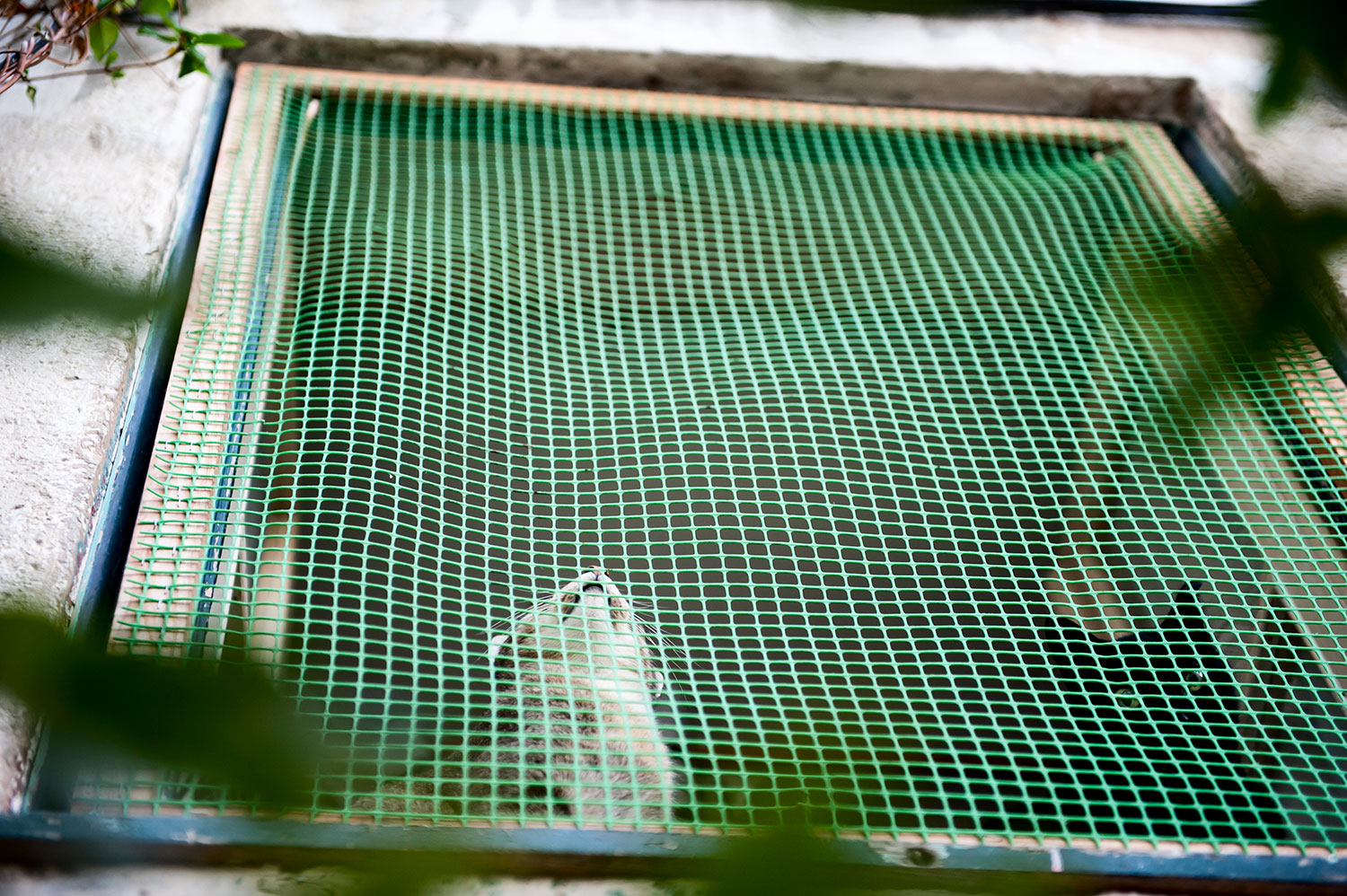 Looking for a way out