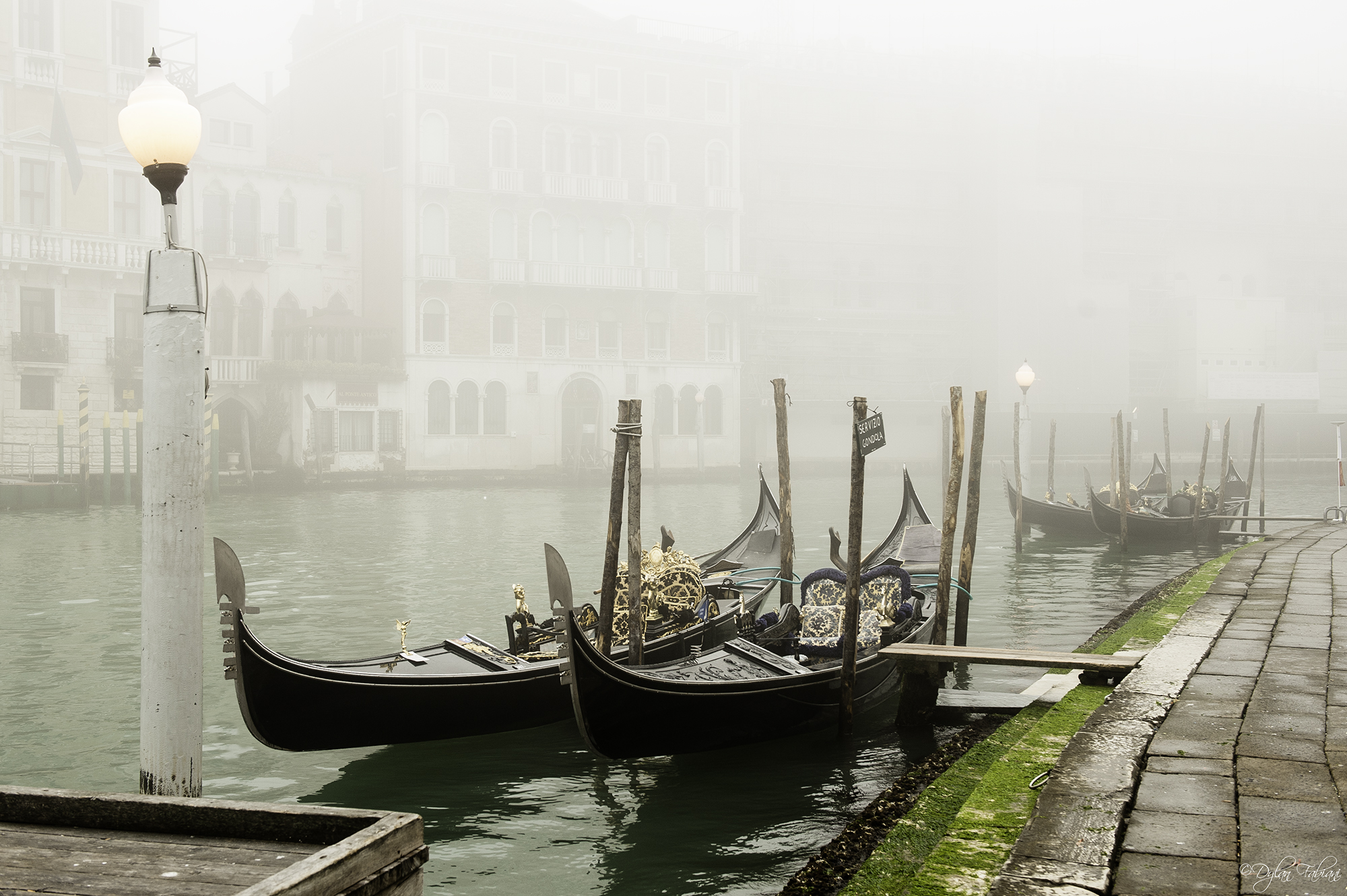 Venice in the fog