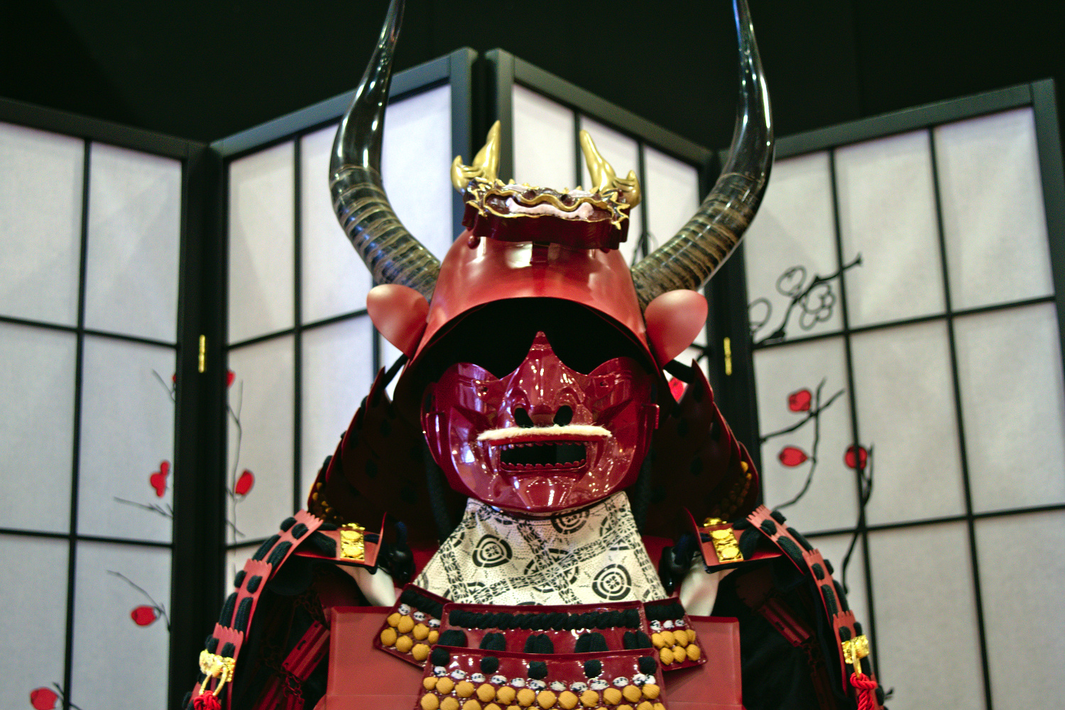 Samurai Yoroi, dettaglio