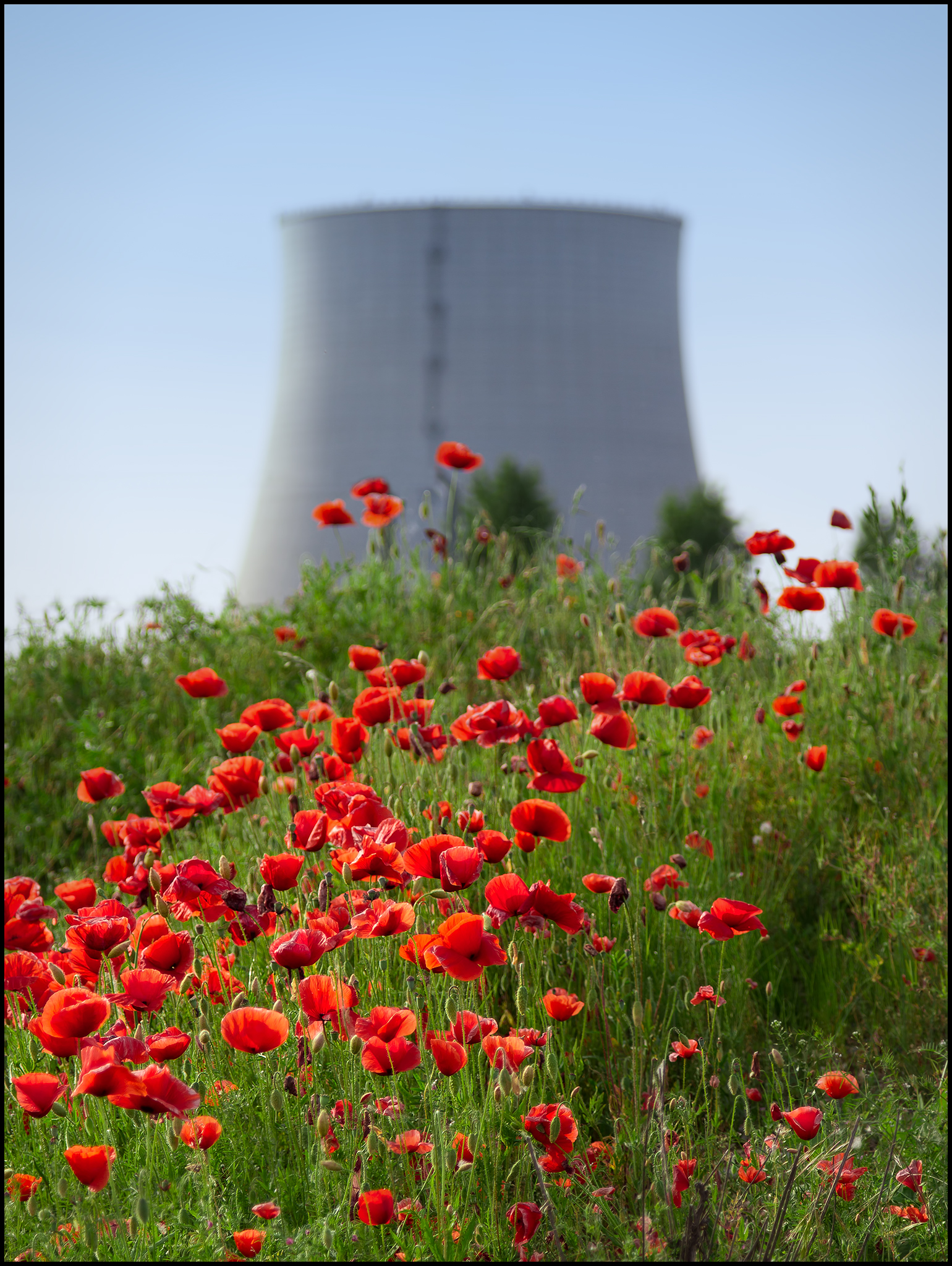 Central Enrico Fermi Trino Vercellese