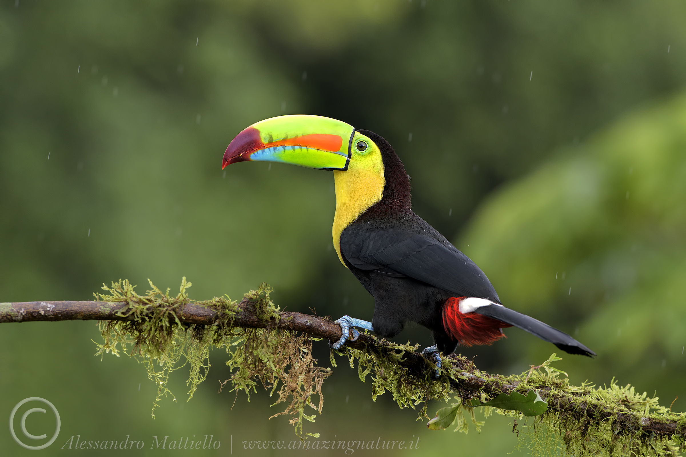 arcobaleno sotto la pioggia