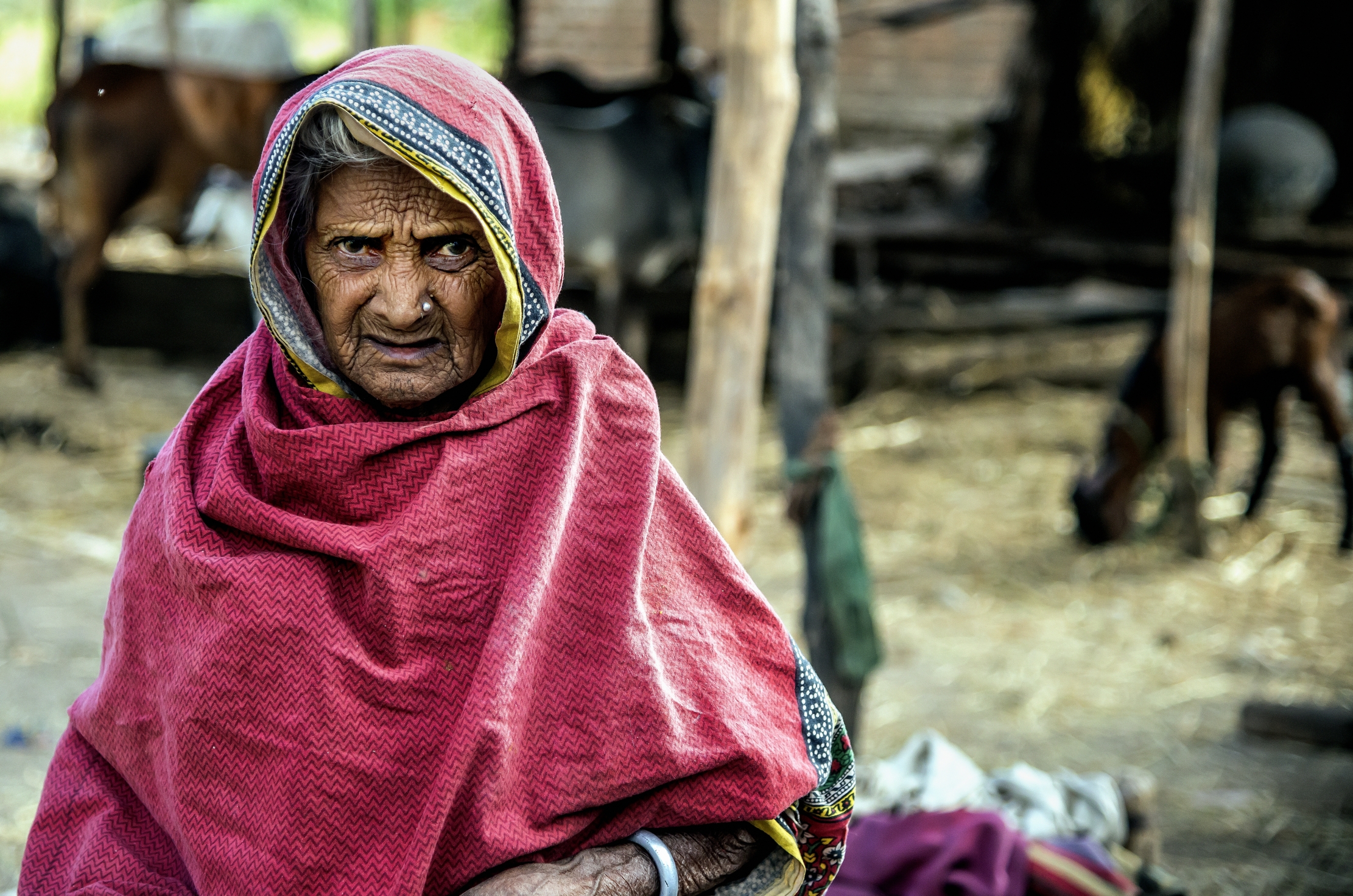 Gujarat 2015 - Anziana contadina