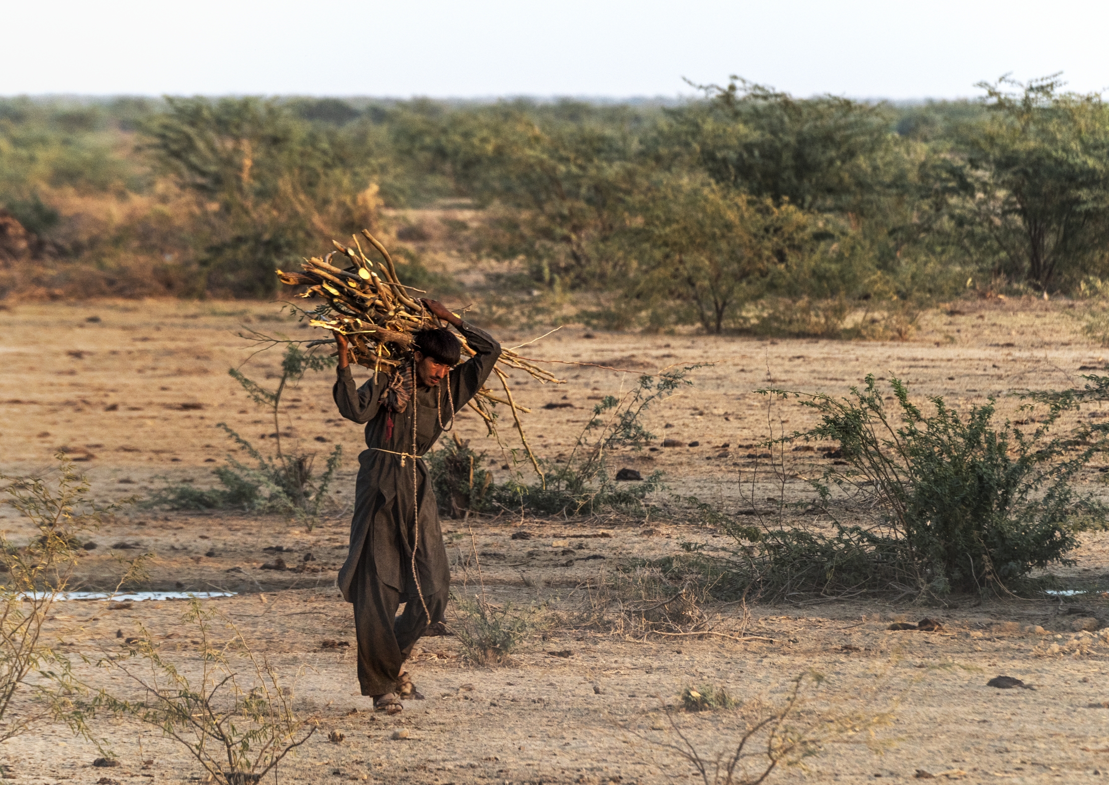 Gujarat 2015 - Lungo la strada