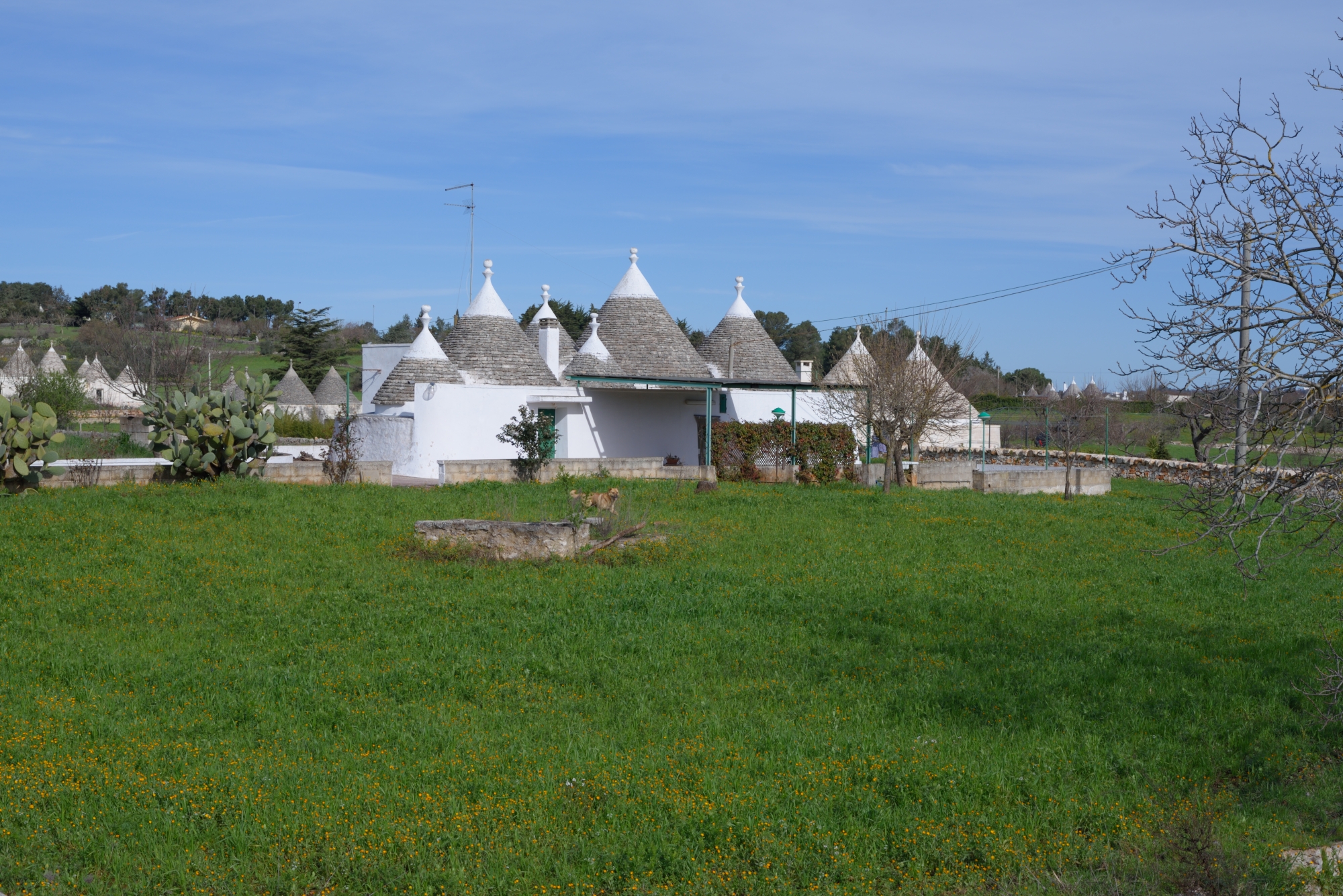 the Apulian trulli