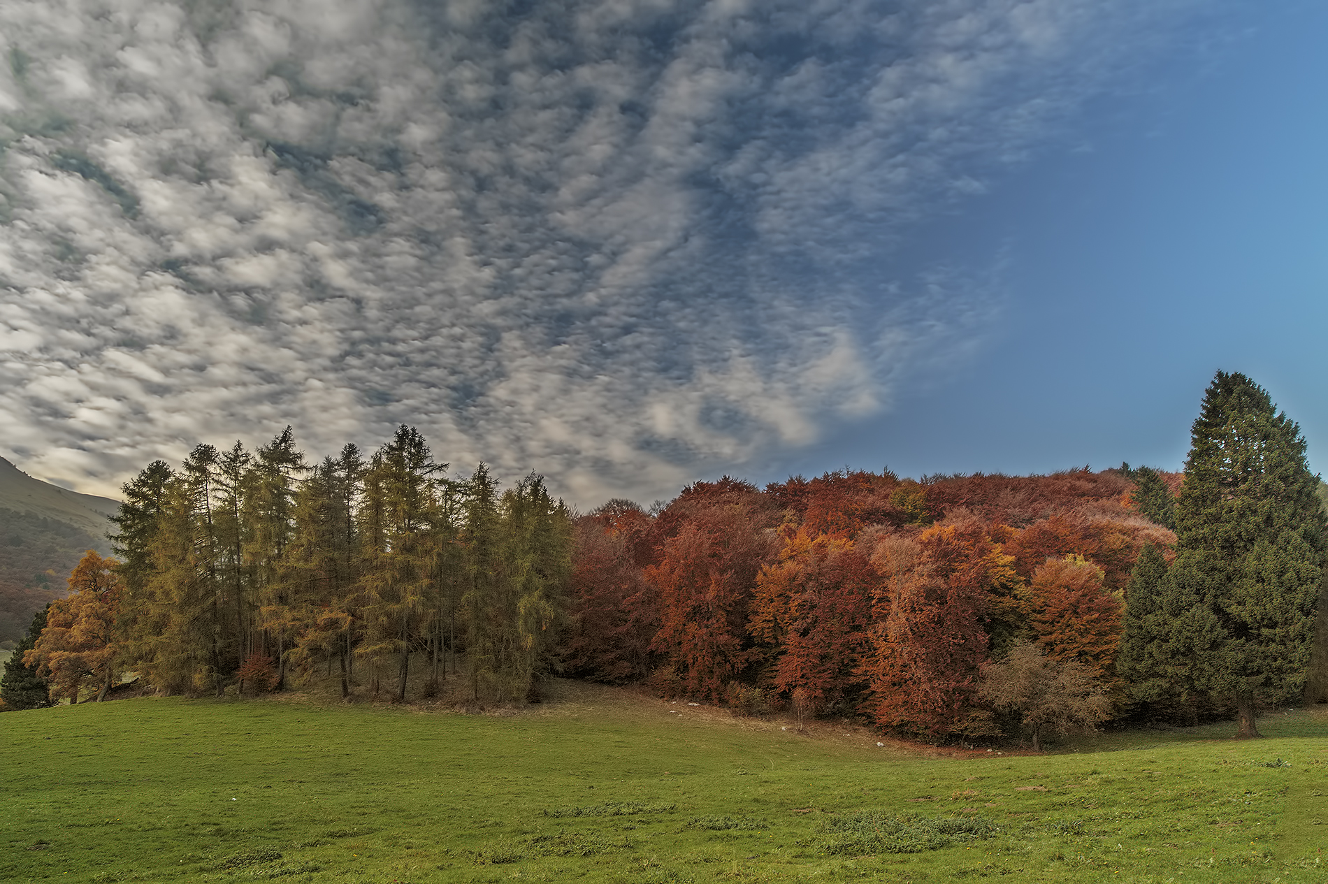 Autumn on Mount Baldo