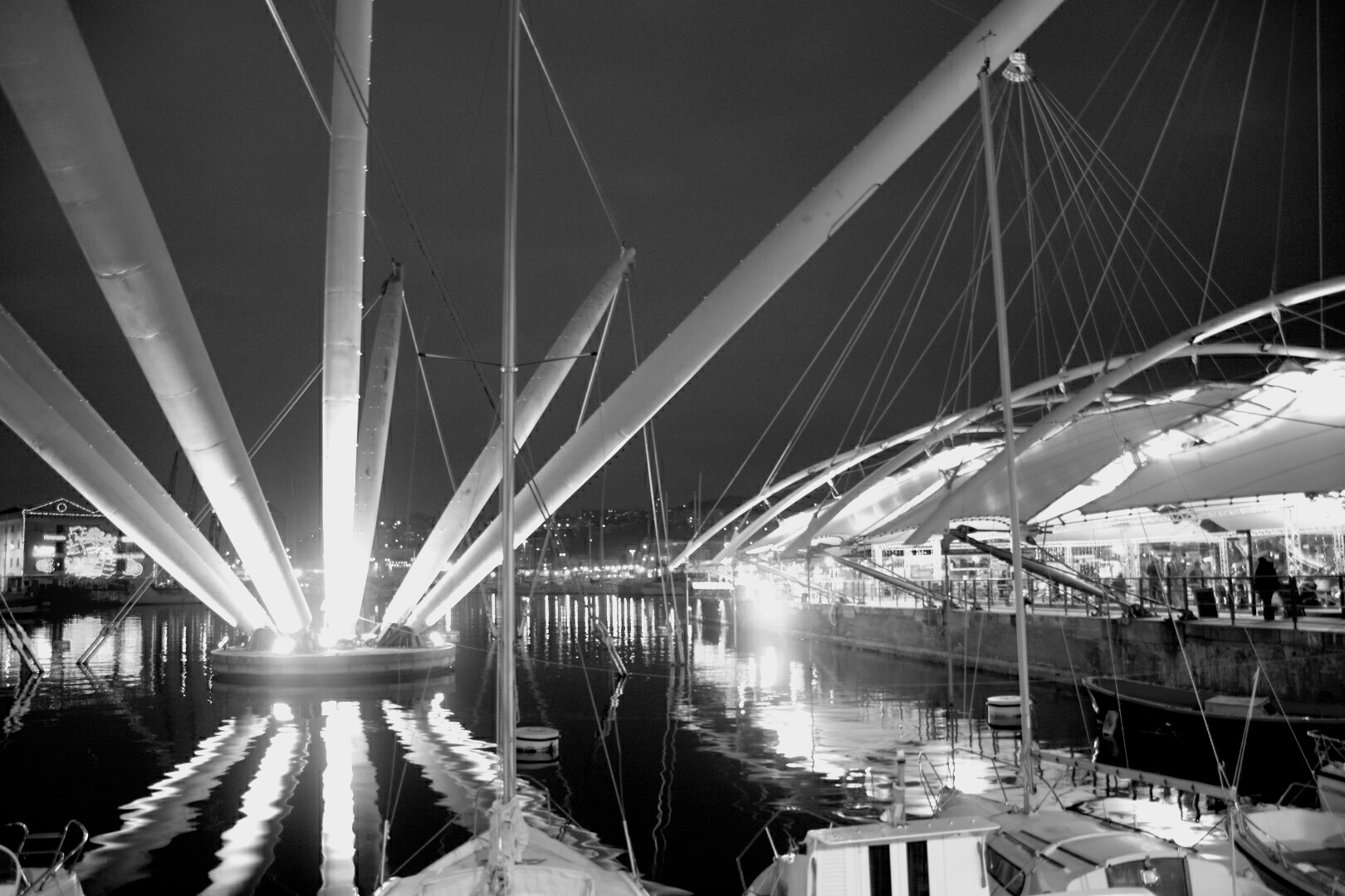 Il bigo al porto di Genova