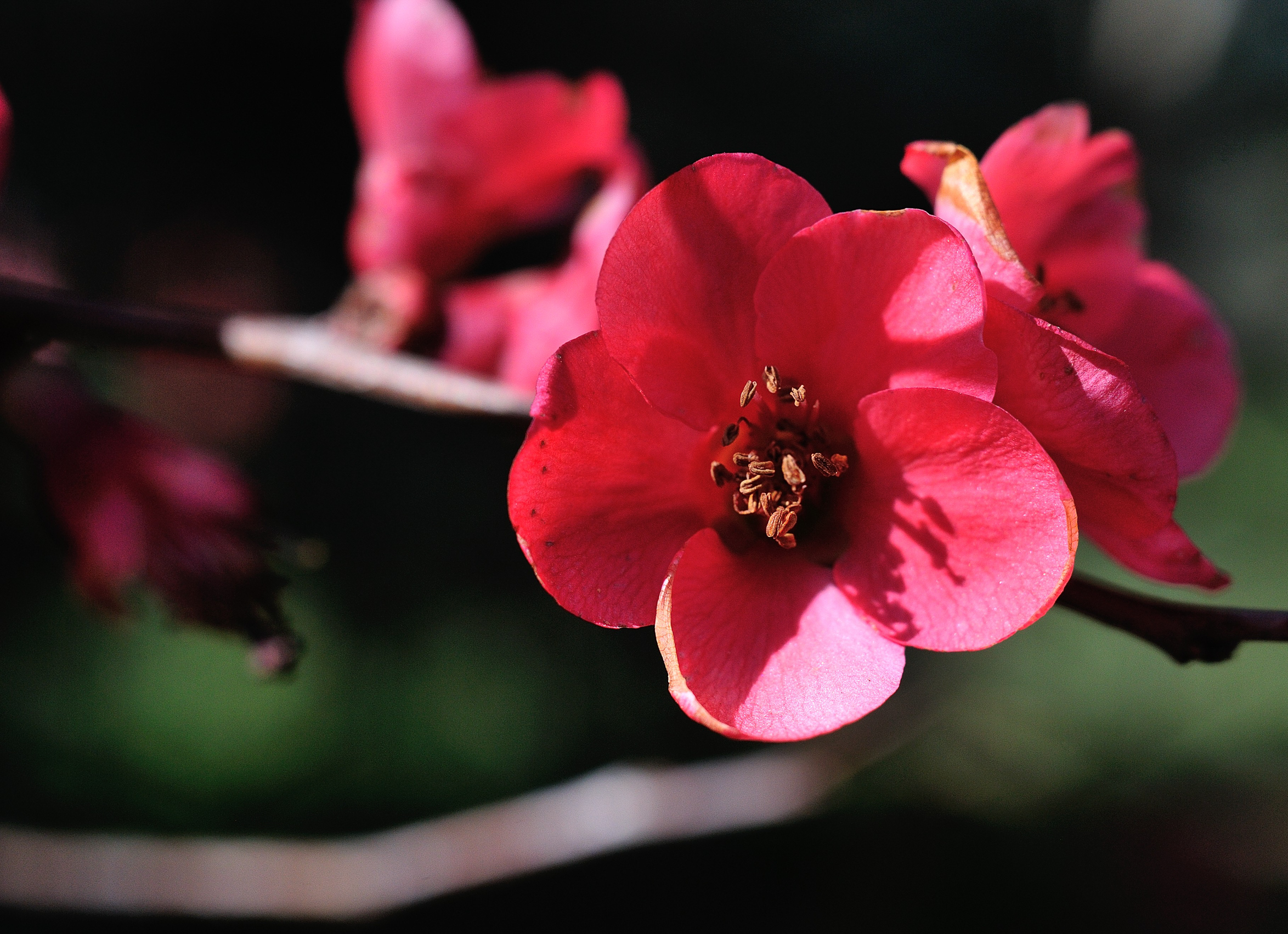 Anticipo di primavera 2016