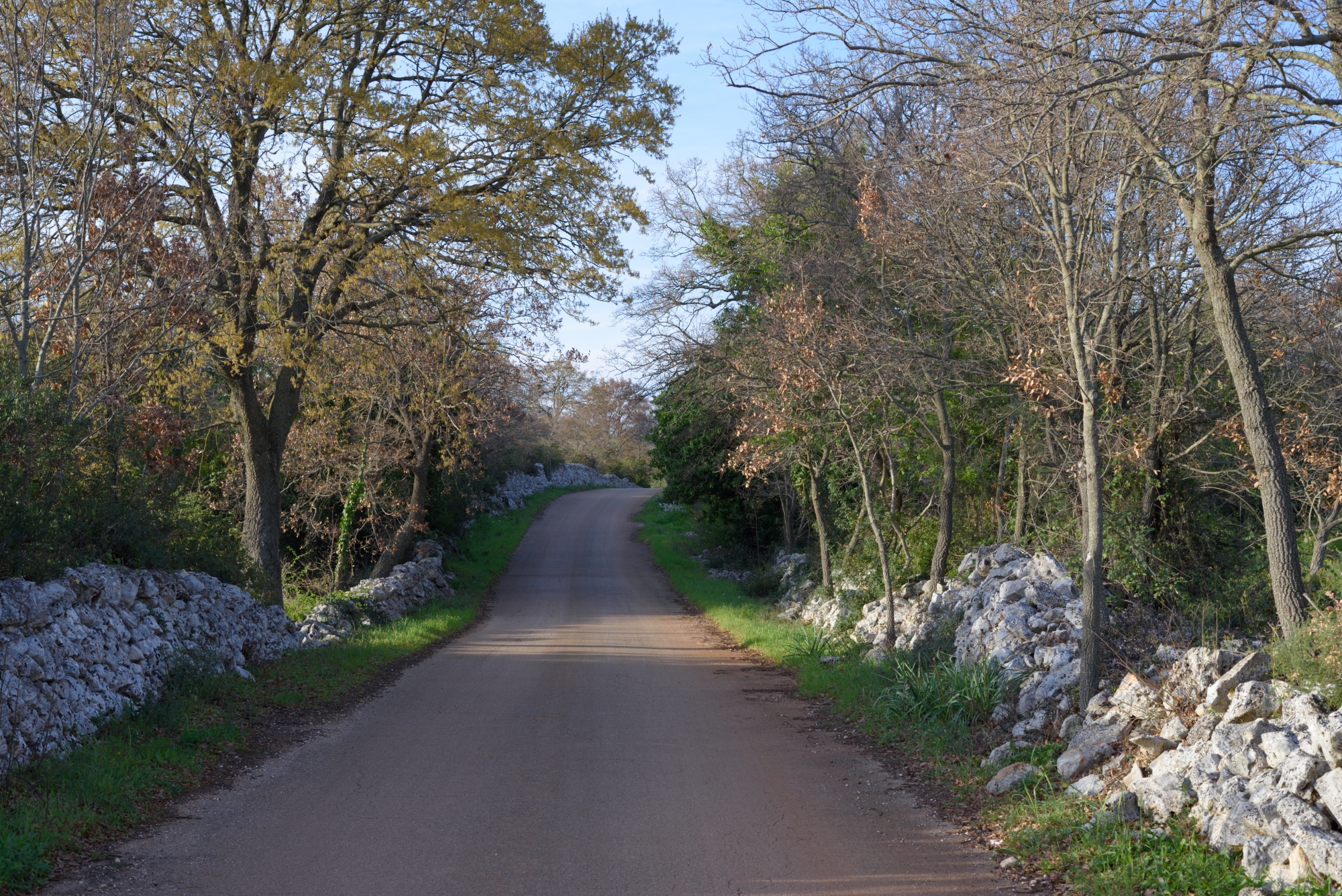 country road