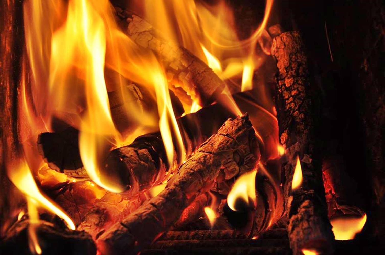 The winter does not want us to leave