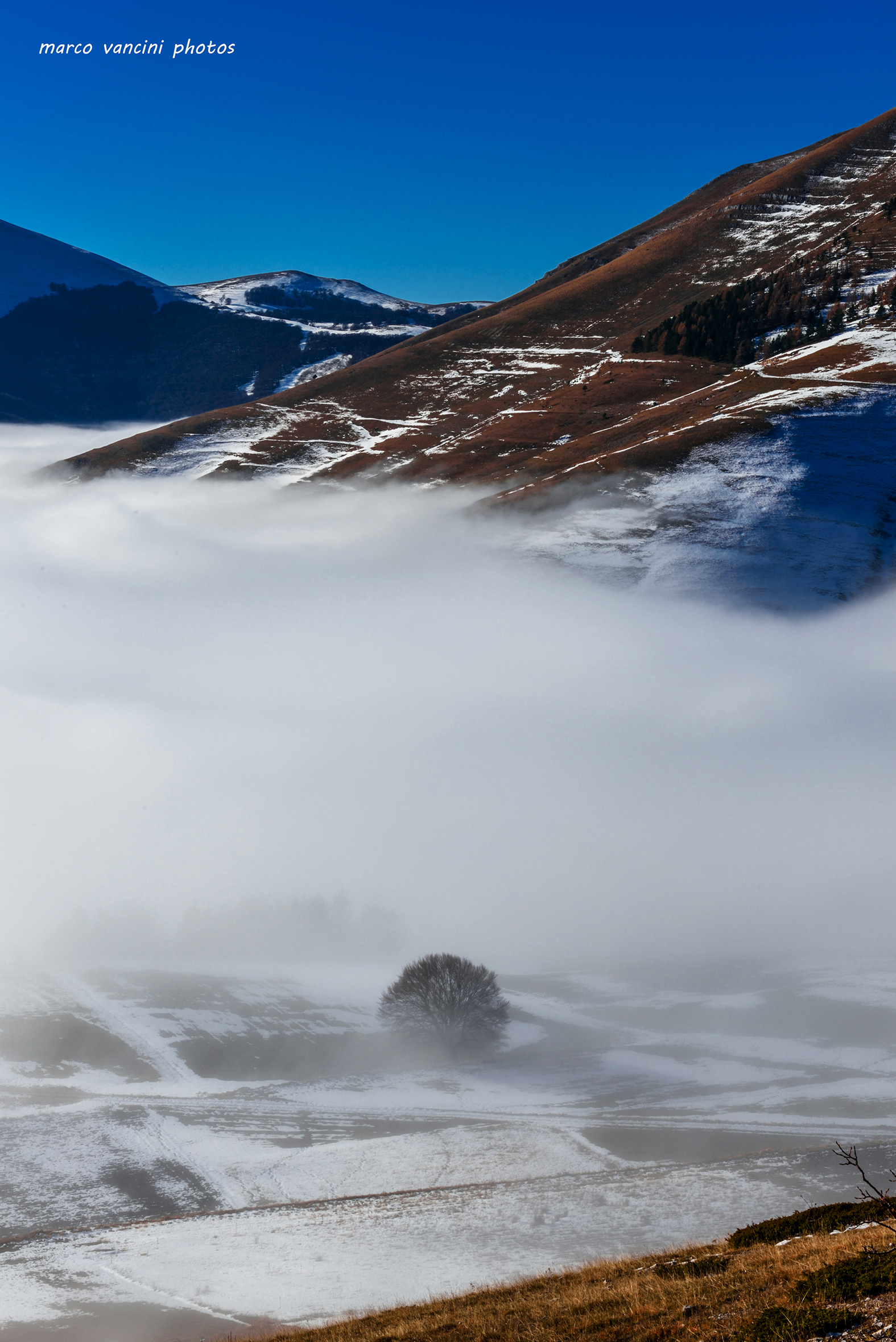 La nebbia al mattino sulla piana