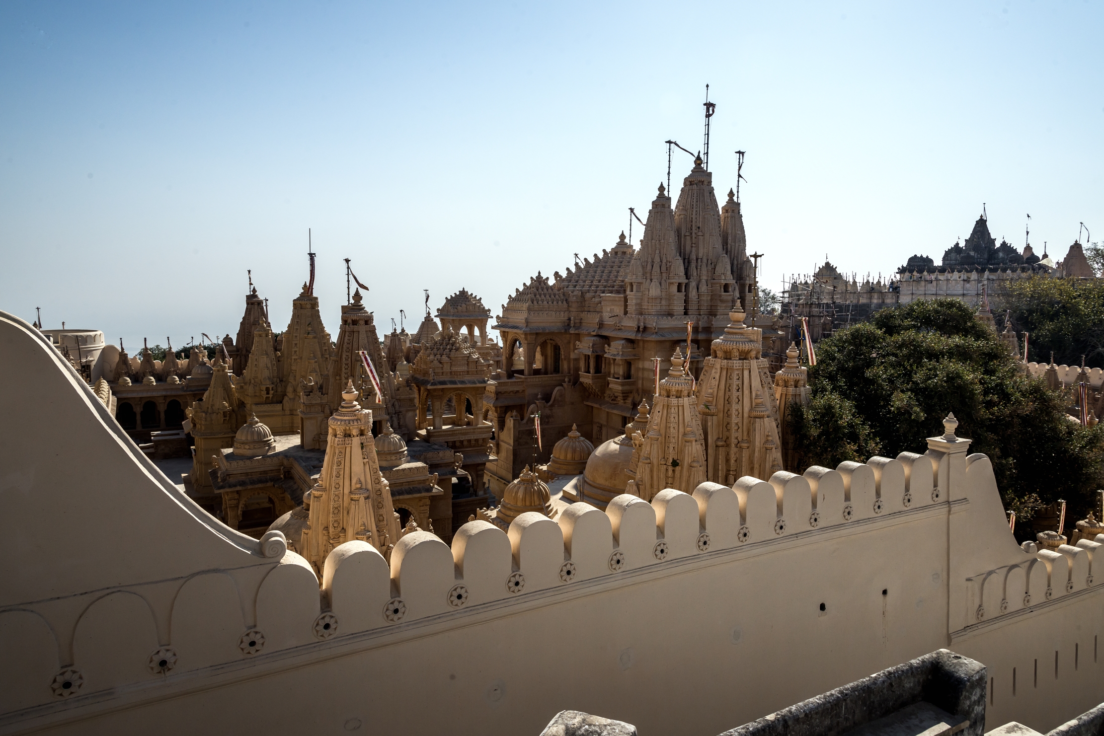 Gujarat 2015 -  Templi del monte Shatrunjaya