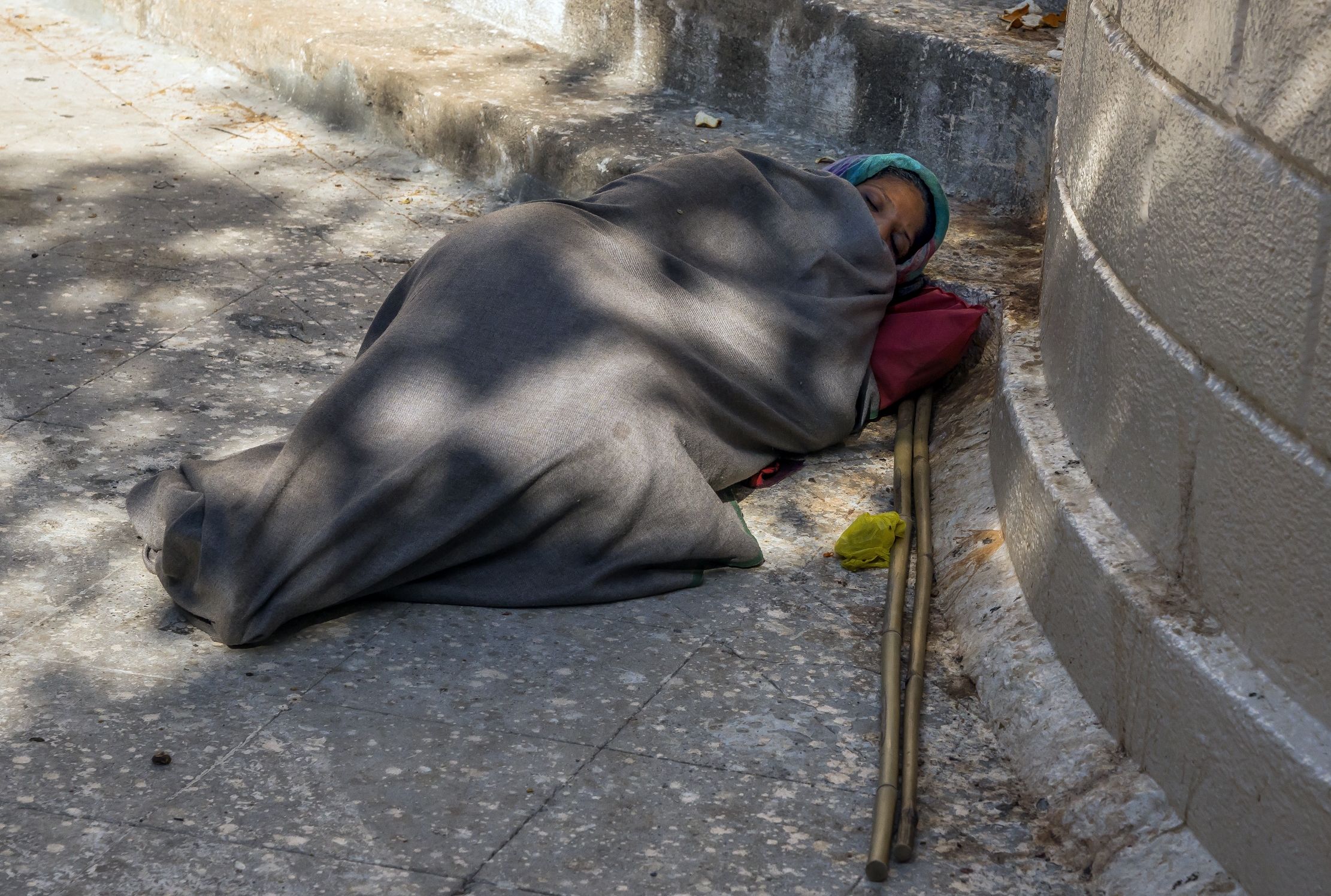 Gujarat 2015 Pellegrina ai Templi del monte Shatrunjaya