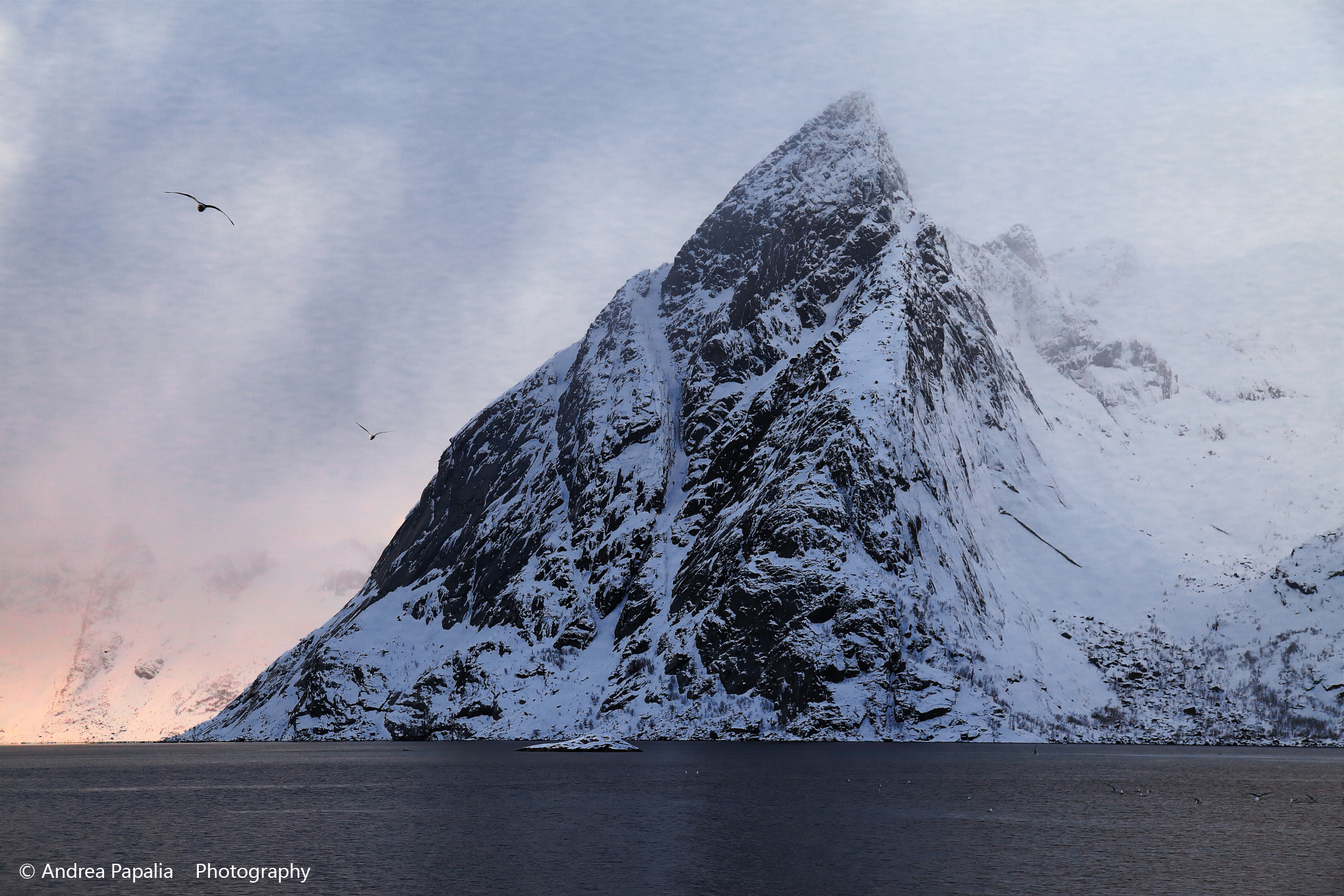 free spirits .. between dream and reality ..