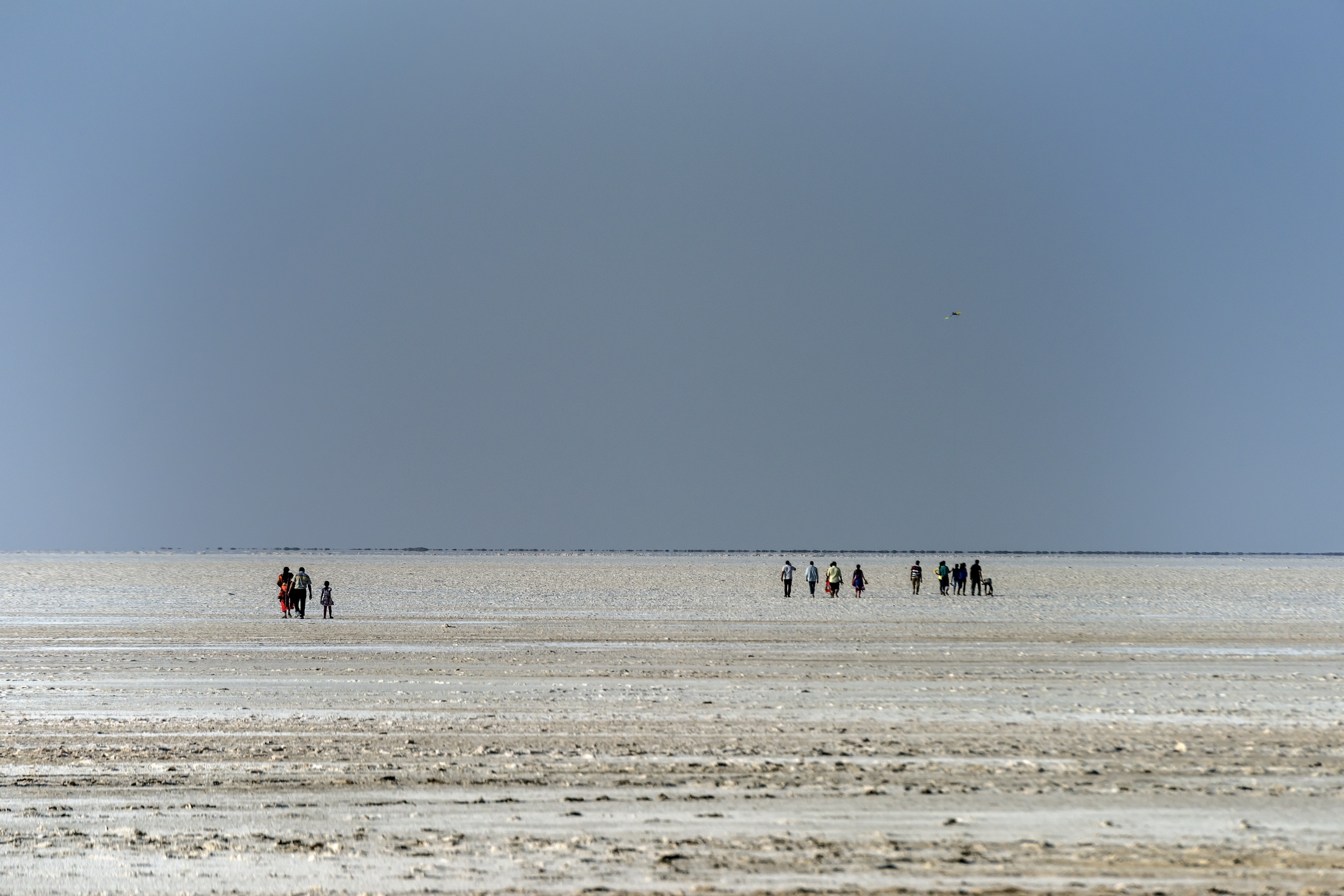 Gujarat 2015 - Deserto bianco