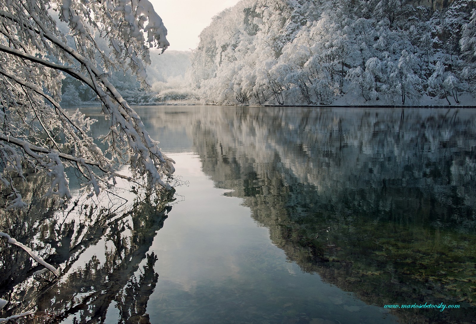 Silenzio In the Morning
