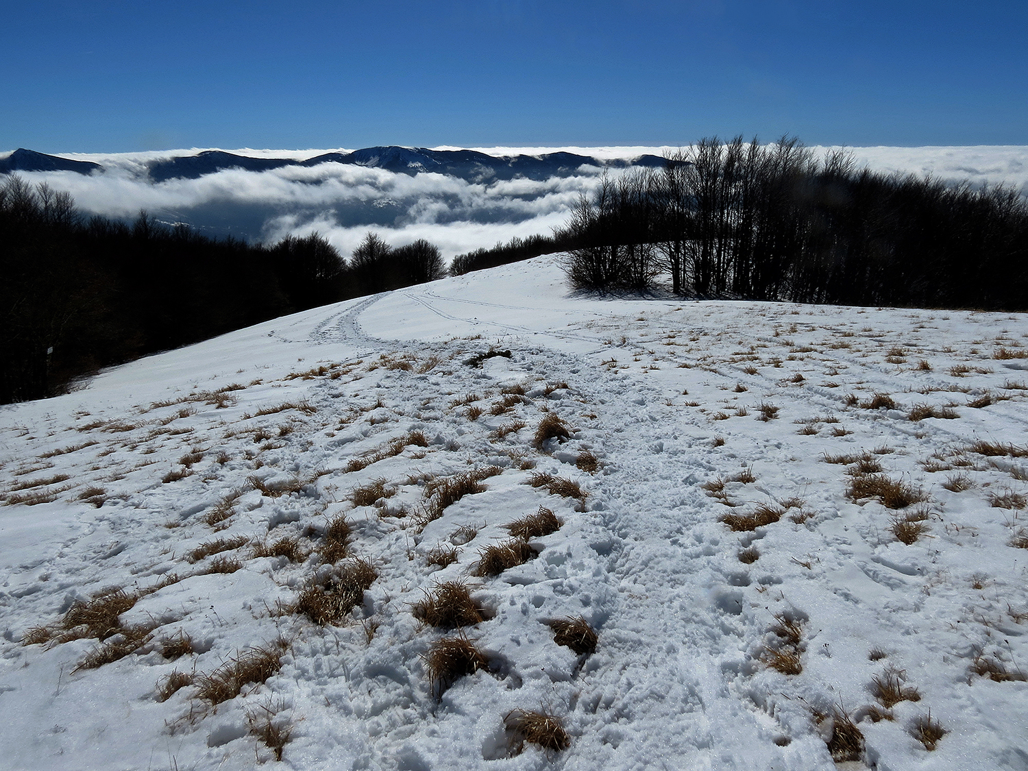 Views of the Val d'Aveto