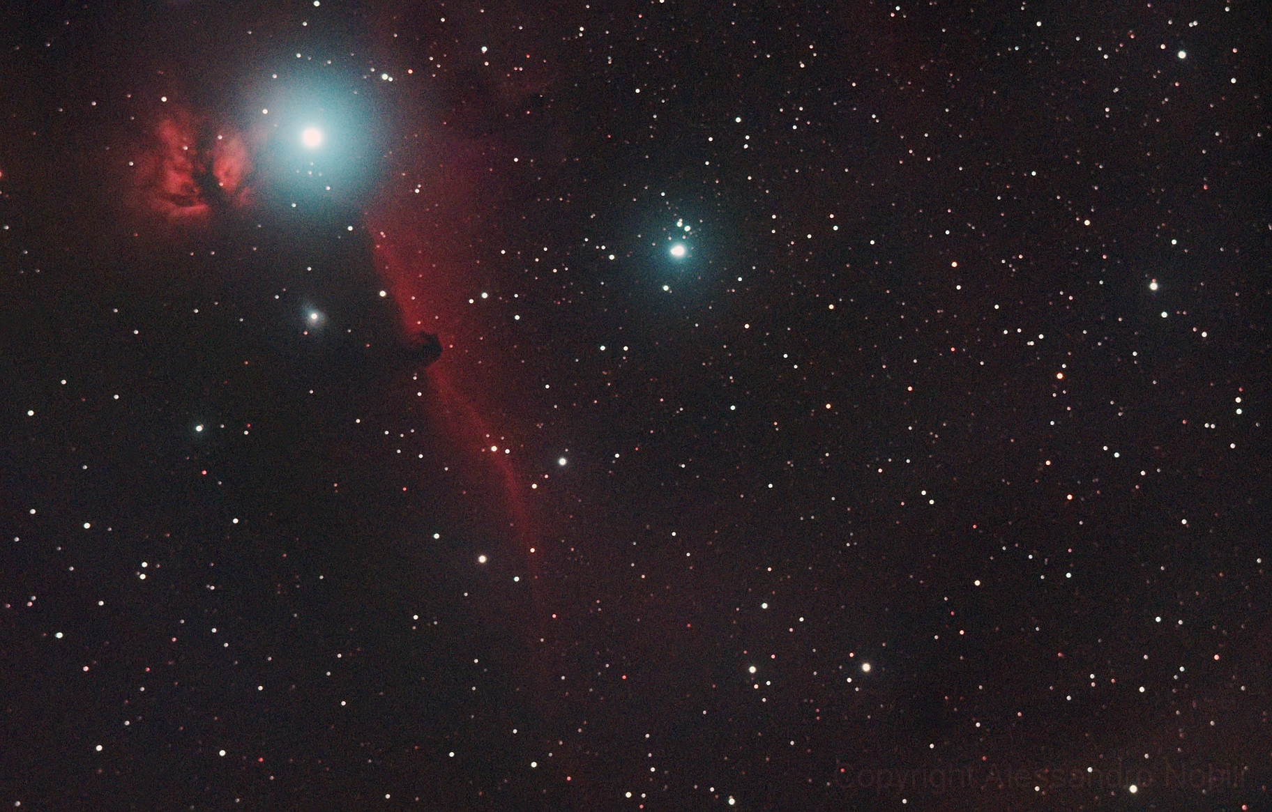 Nebulosa Testa di Cavallo