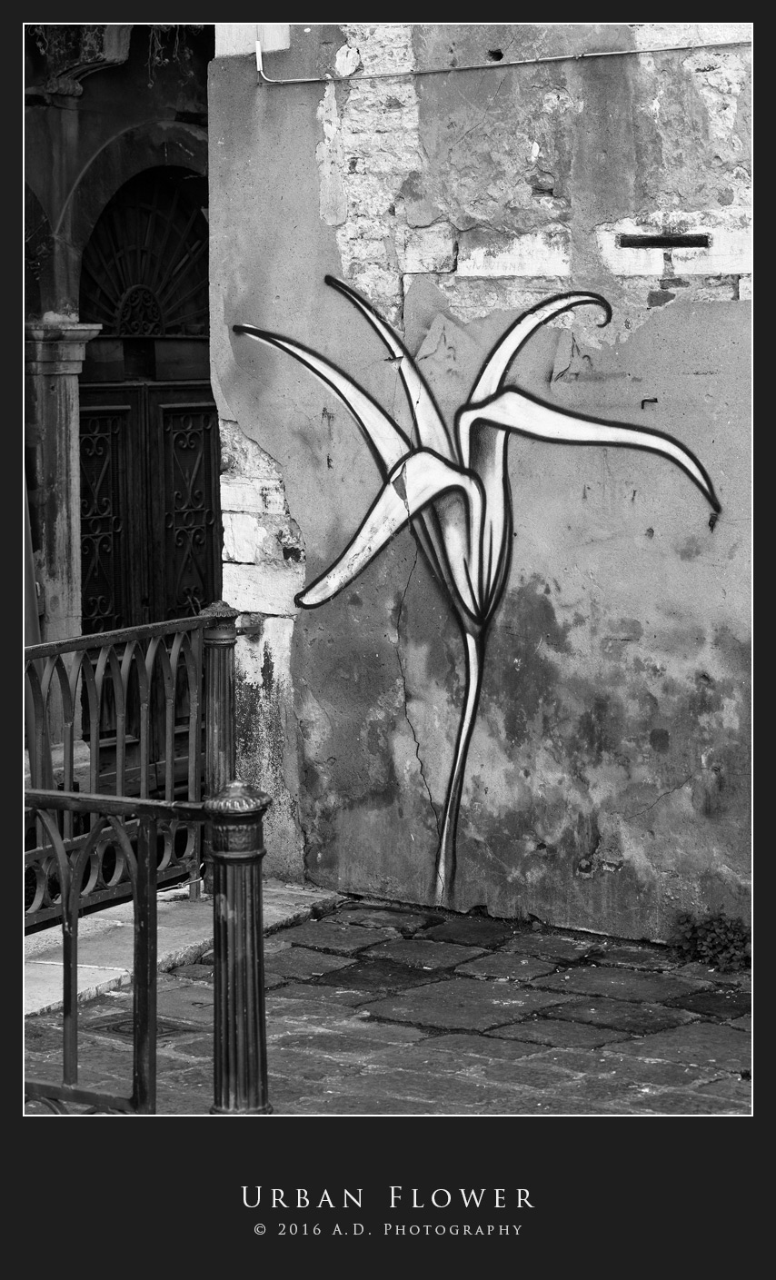 Urban Flower