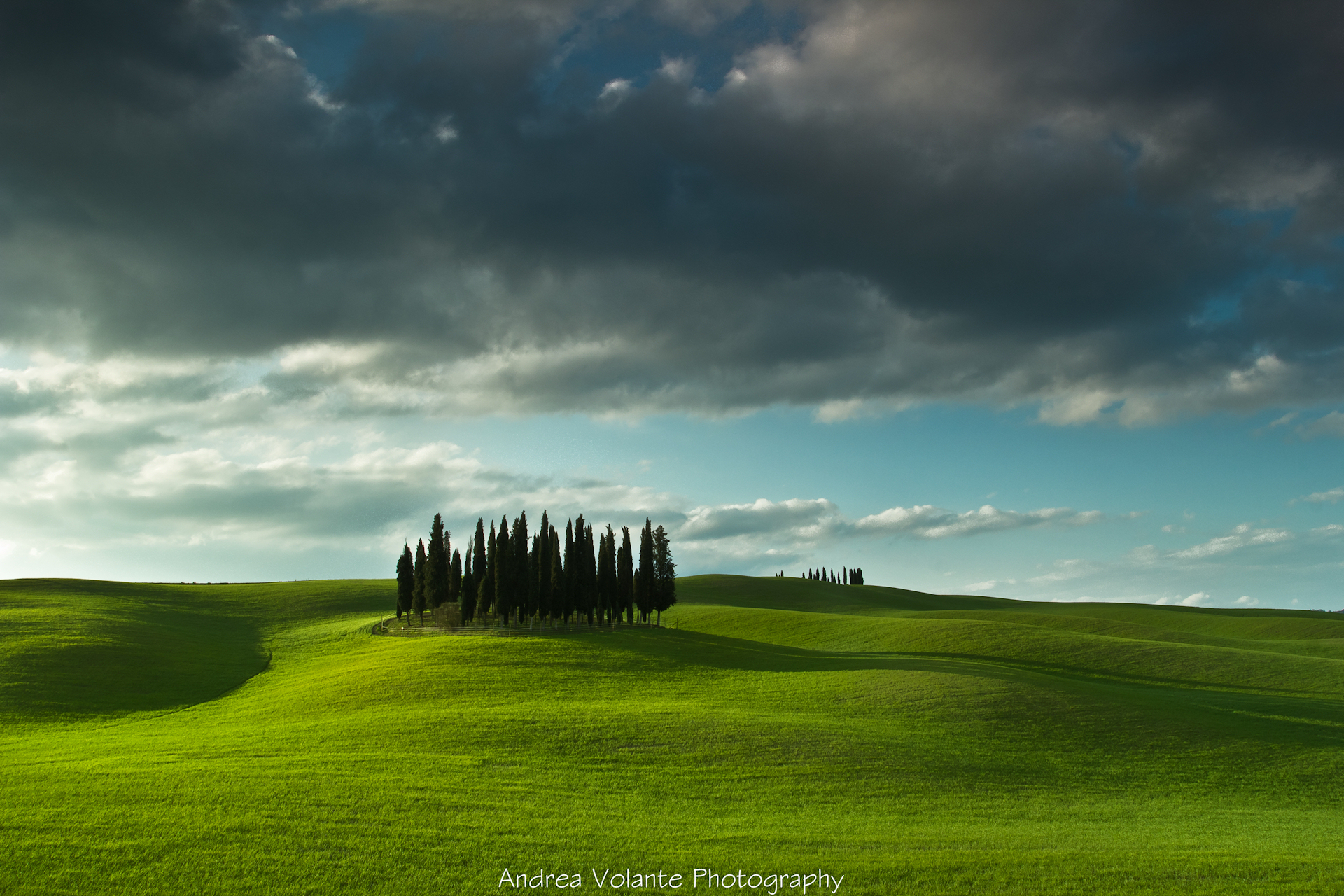 Torrenieri ..il cipresso in terra di Toscana.