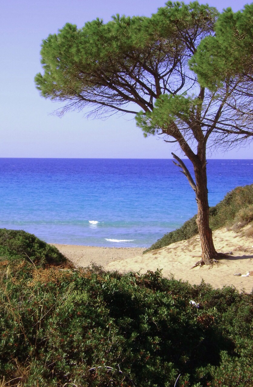 Sardinia "sea pintau"