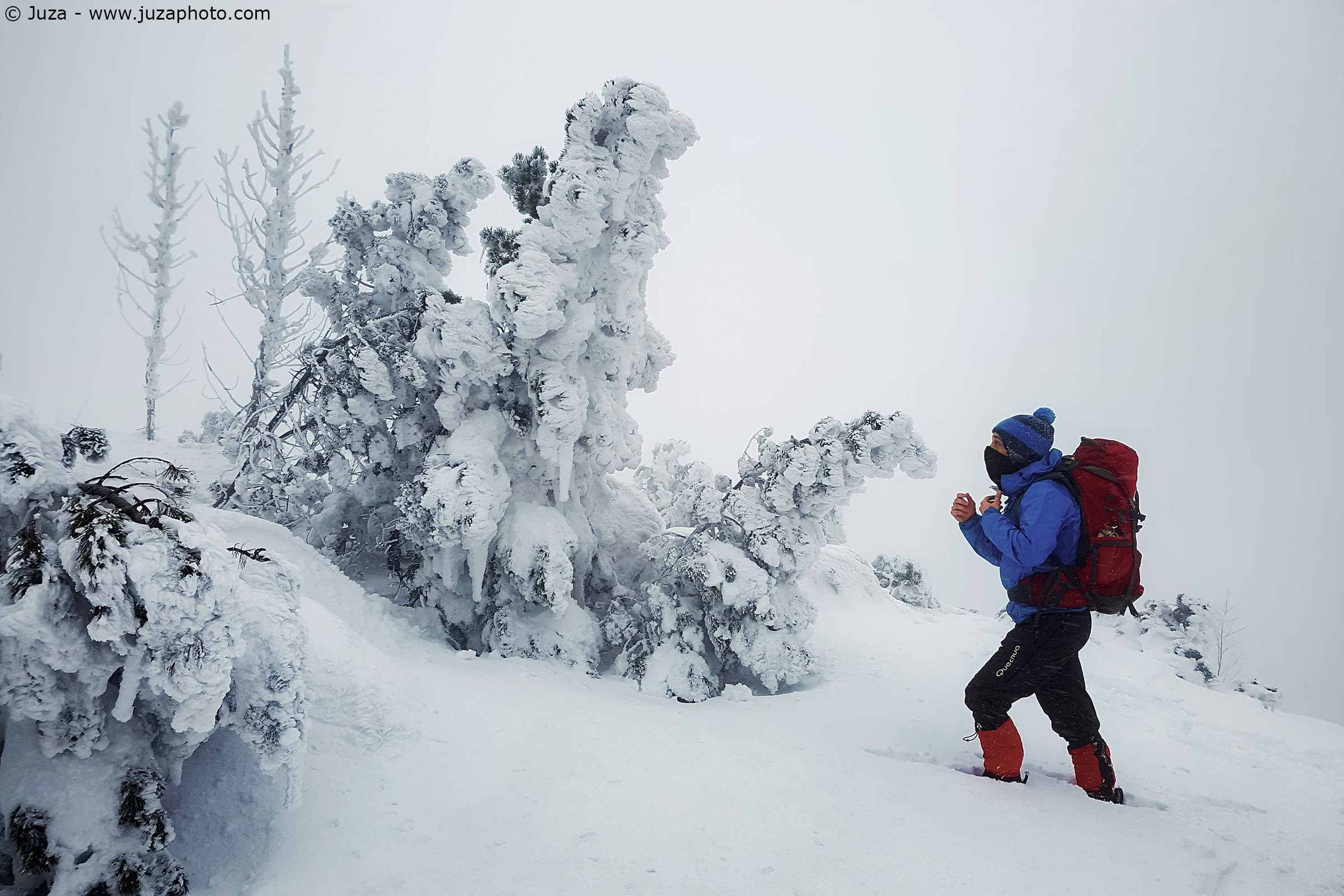 Hoarfrost on Black Mountain