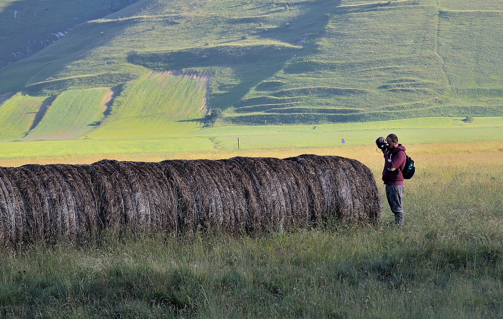 It would serve a purpose as well !!