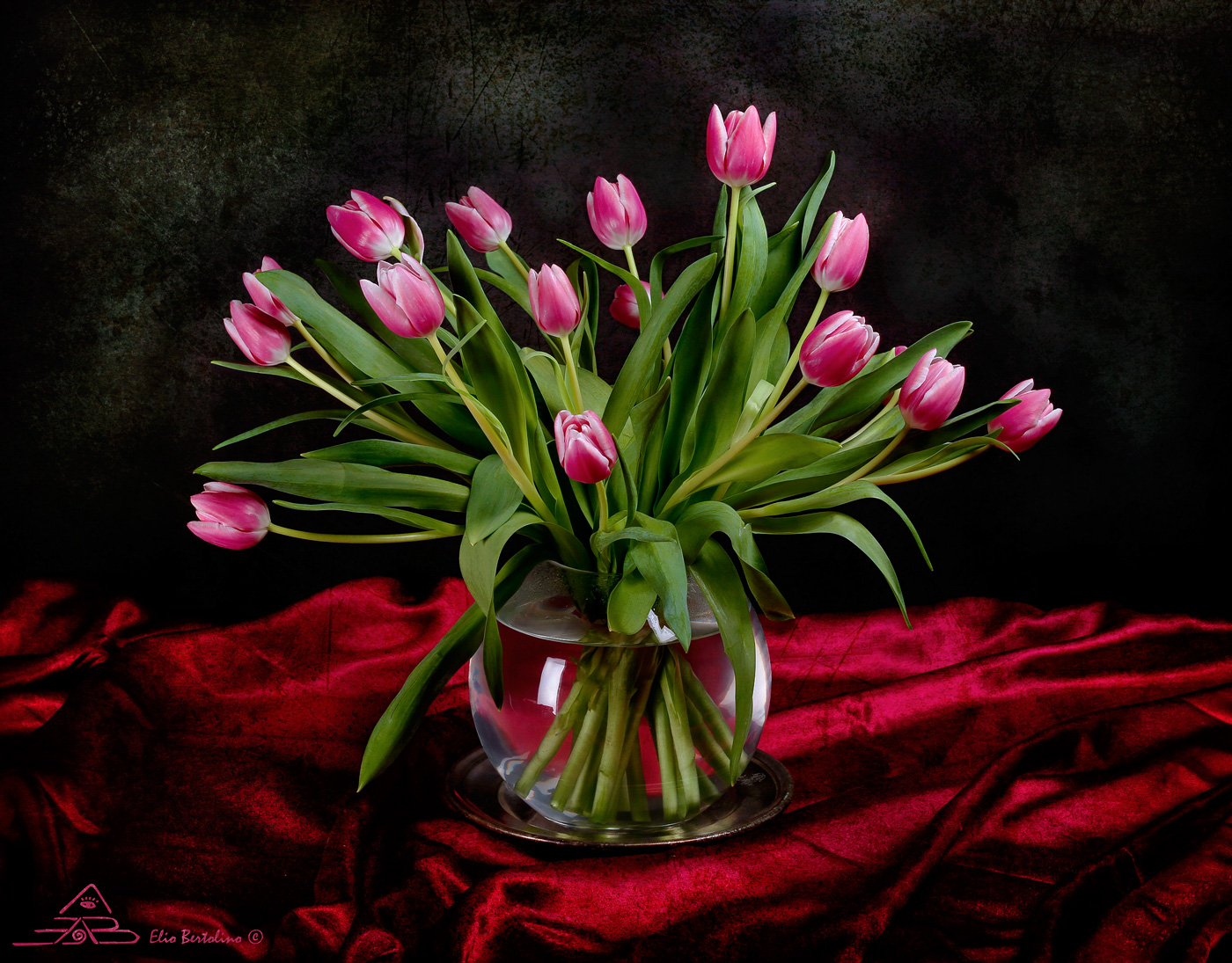 tulips