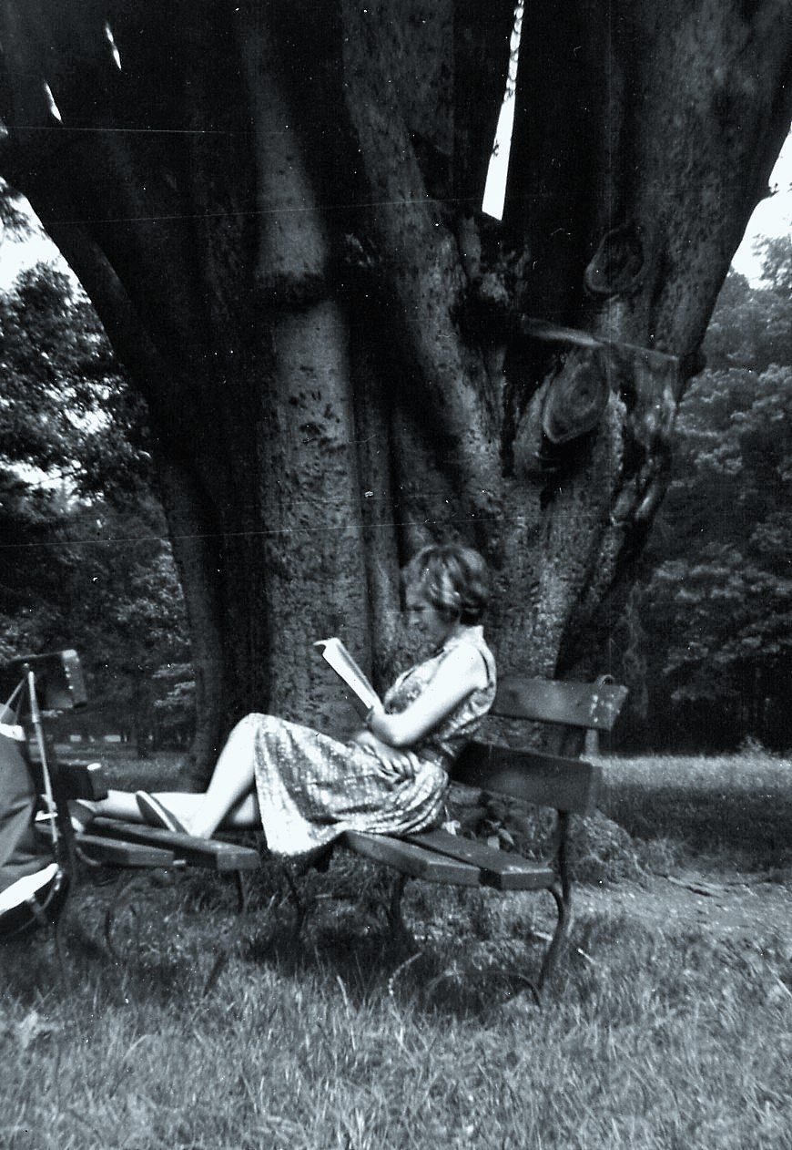 Leggendo sotto il grande albero