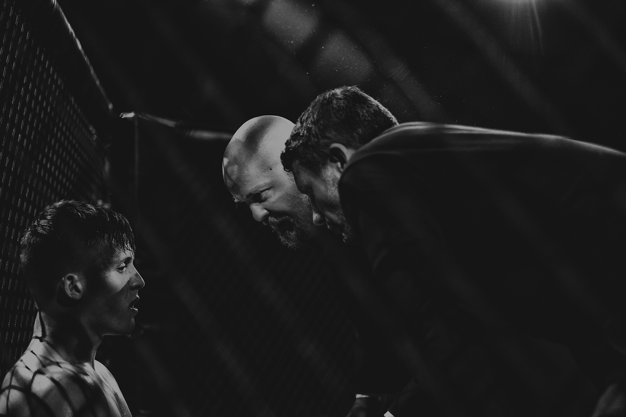 L Angle, Team, The Family. . .