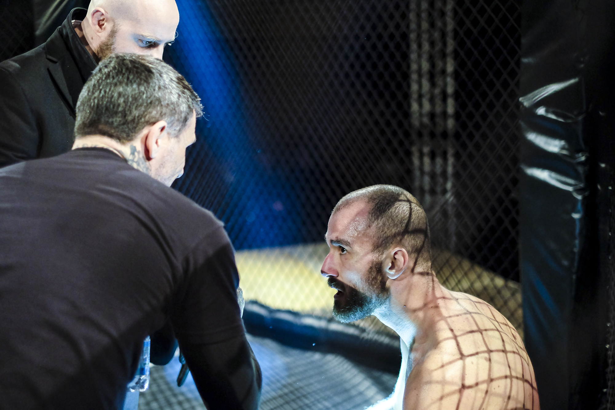 the team, the angle, the ..part family 2